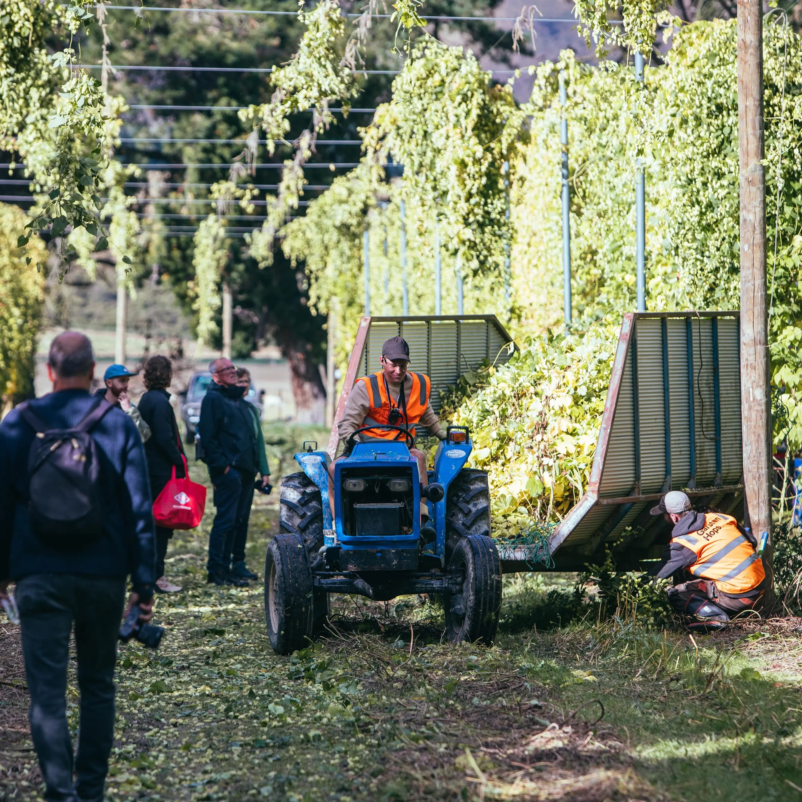 Gin, hops and boats win big at awards