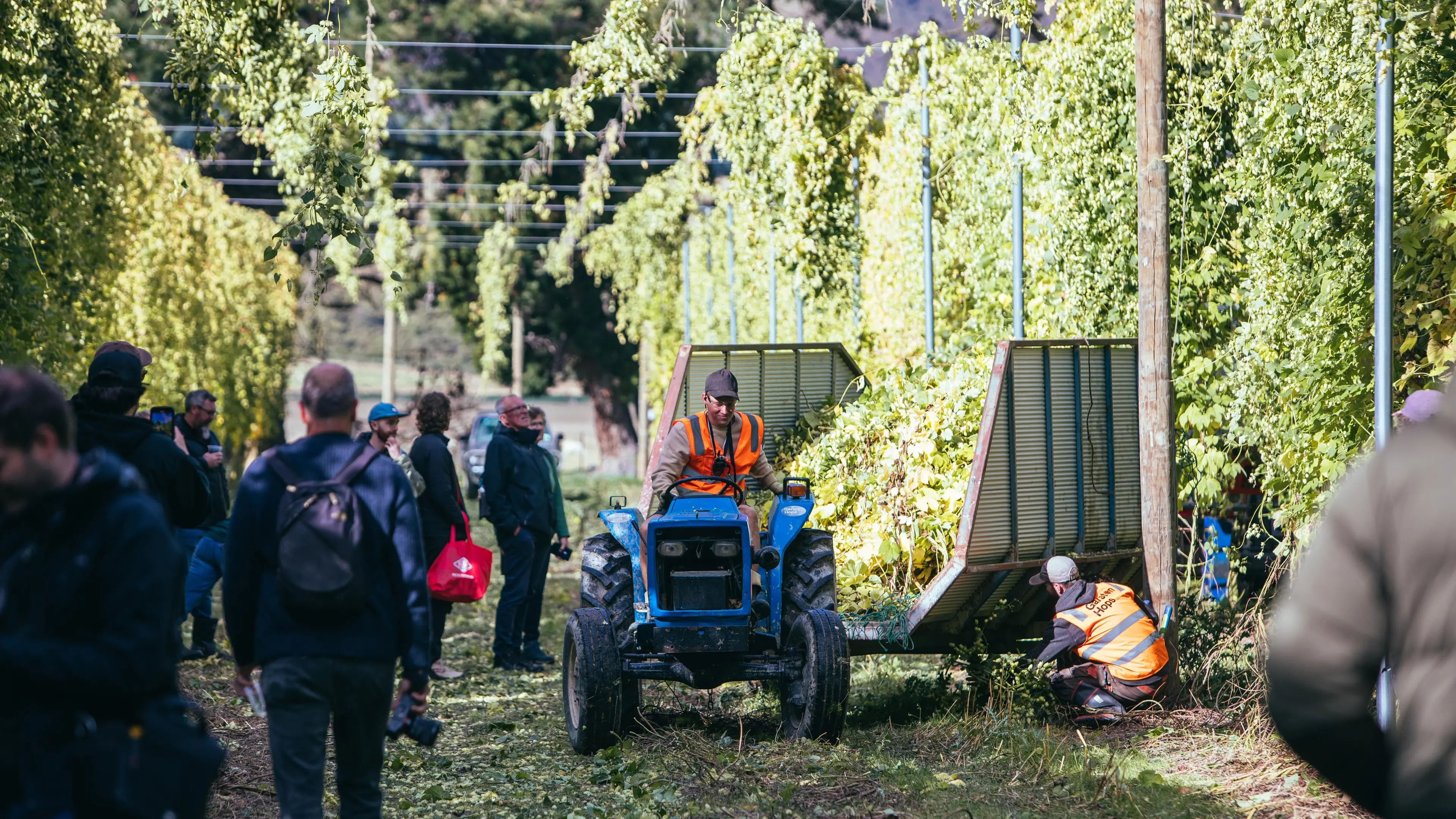 Gin, hops and boats win big at awards