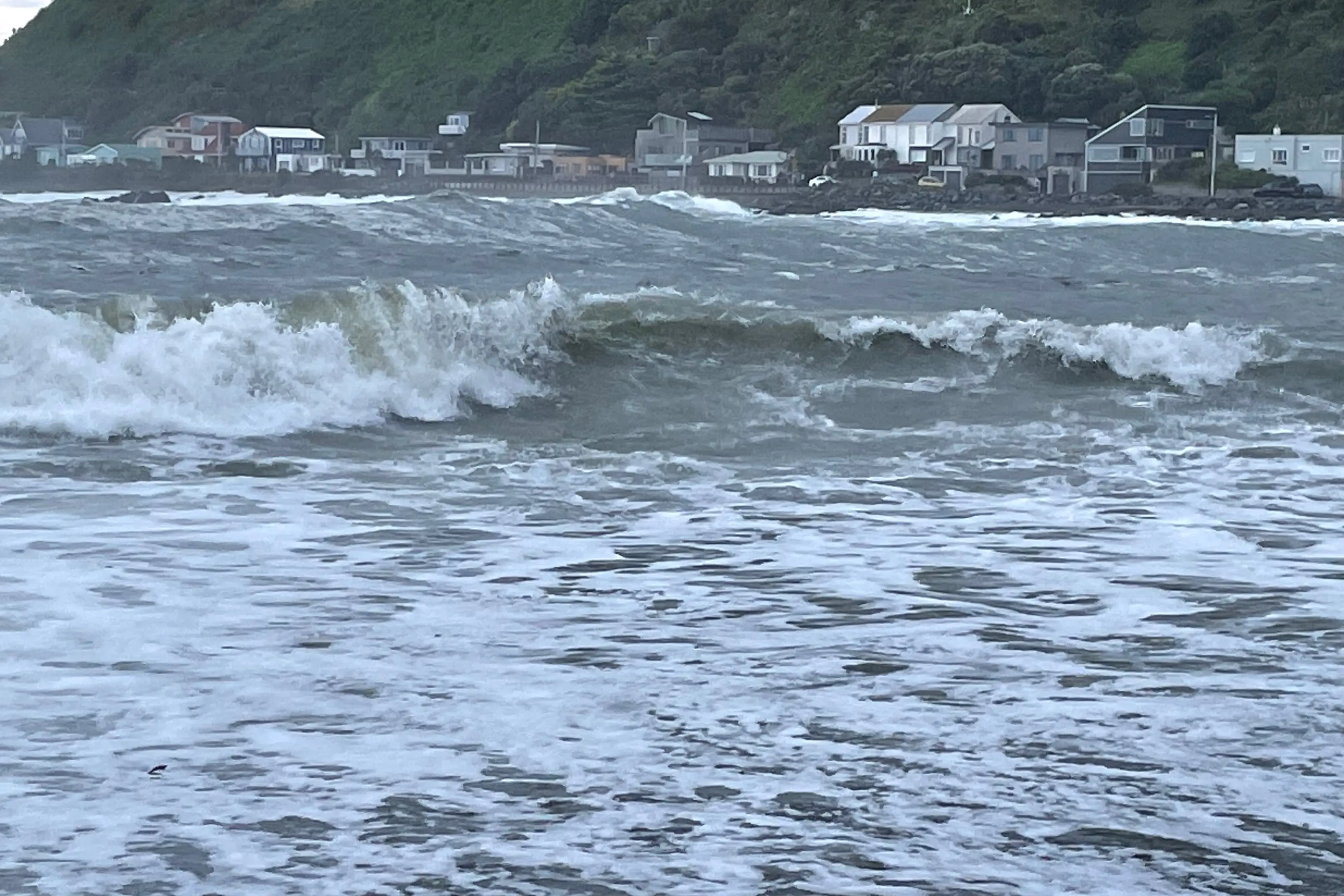 A strong wind warning is in place for Wellington. File photo: RNZ / Bill Hickman