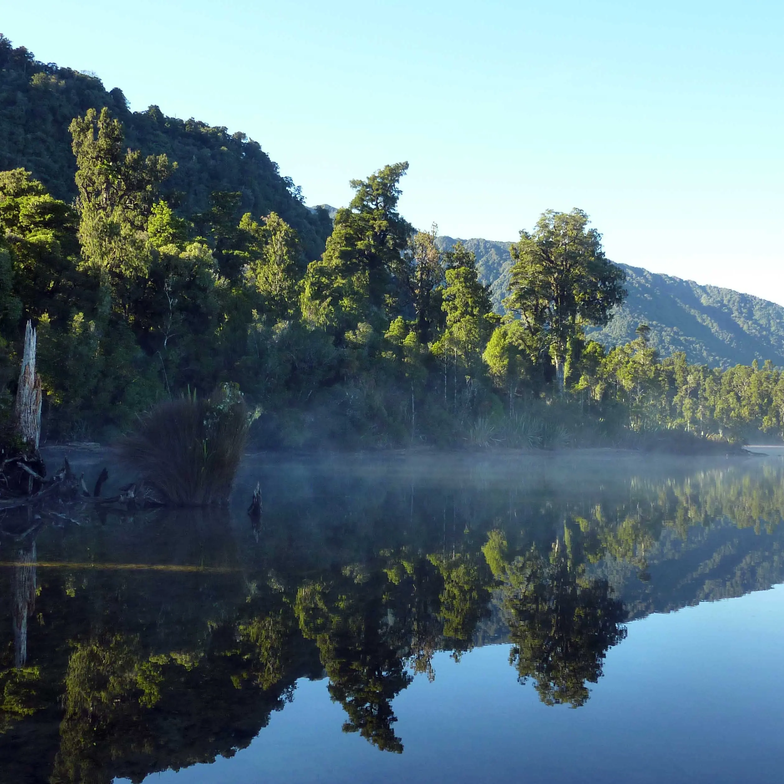 Councillors call for more targeted, regular testing of lake contamination