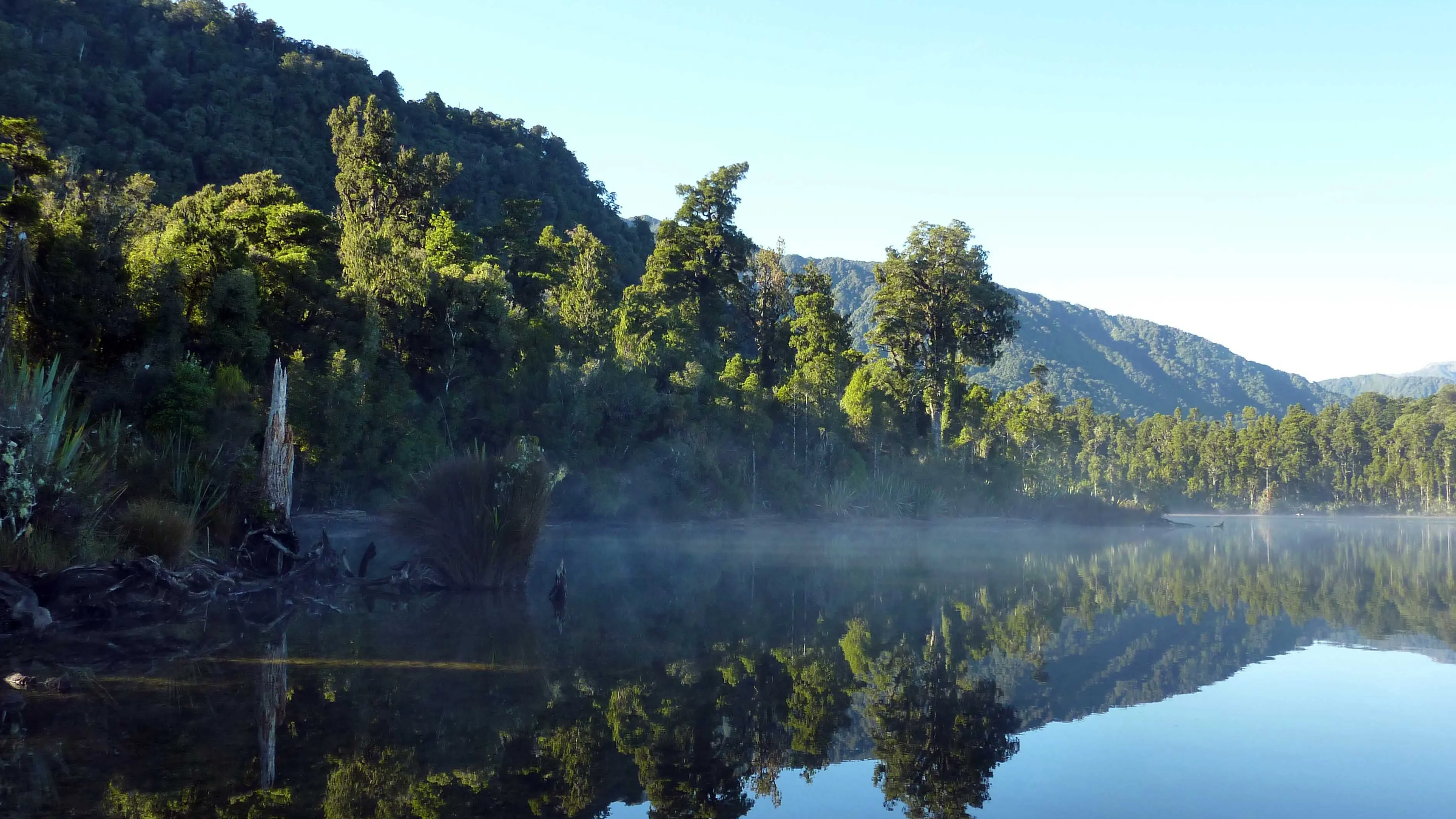 Councillors call for more targeted, regular testing of lake contamination