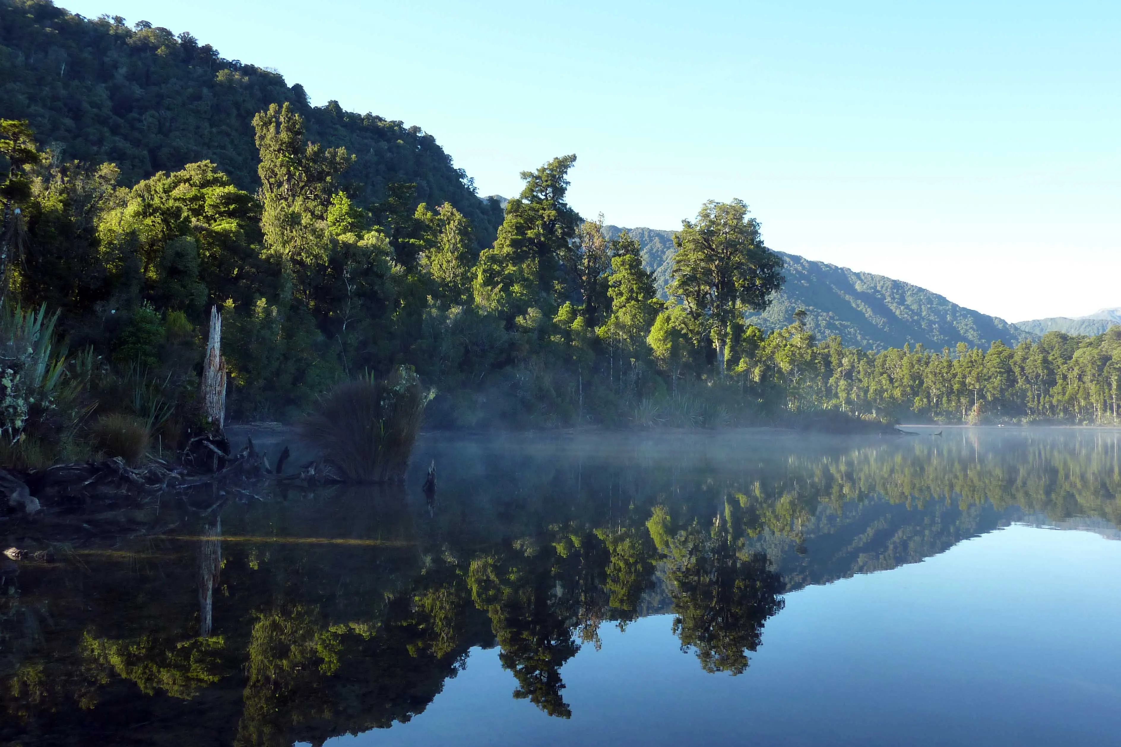 Councillors call for more targeted, regular testing of lake contamination