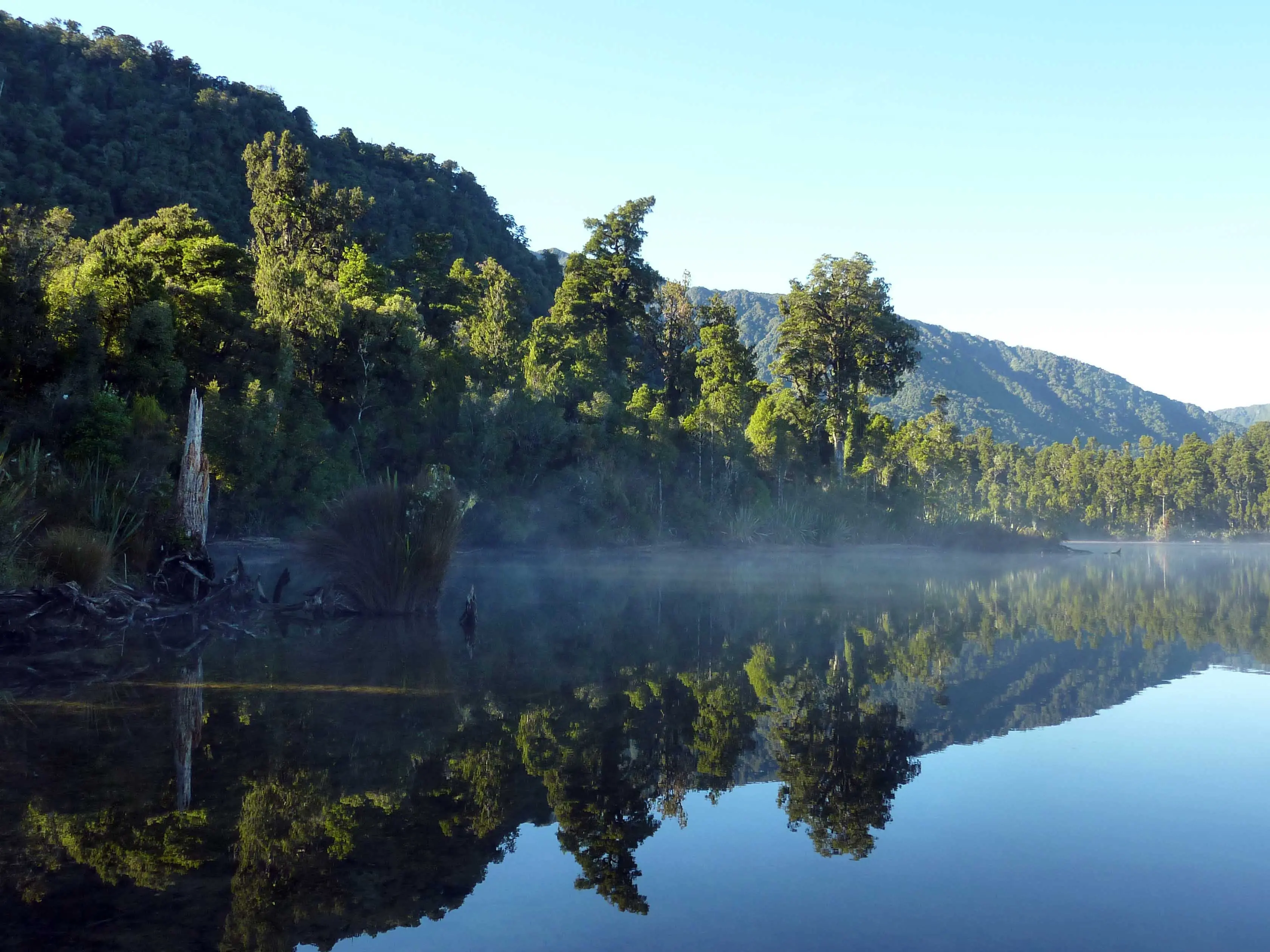 Councillors call for more targeted, regular testing of lake contamination