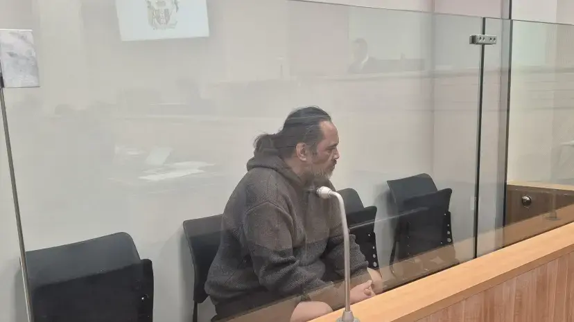 Man accused of running down cyclists and killing dog in violent Auckland rampage named