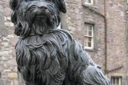 A statue with a lot to say