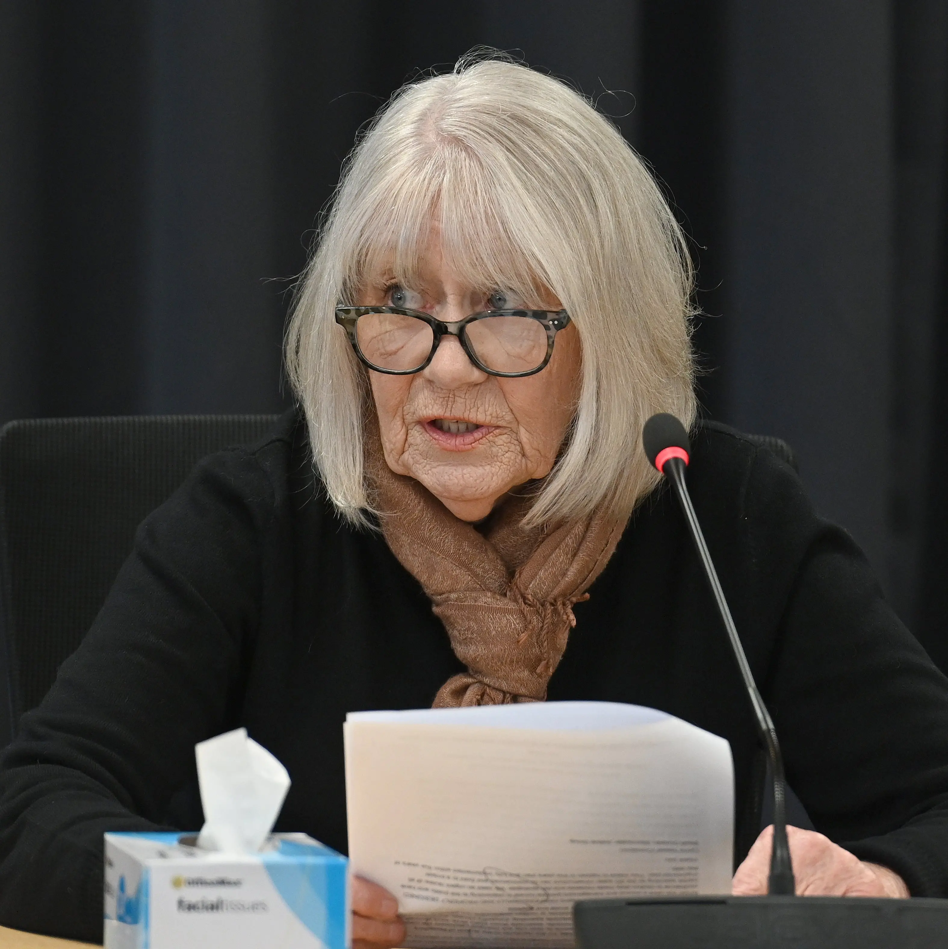 ‘Confrontational’ South D meeting prompts council investigation
