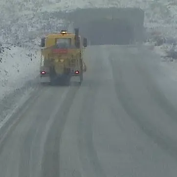 Snow closes Milford Road