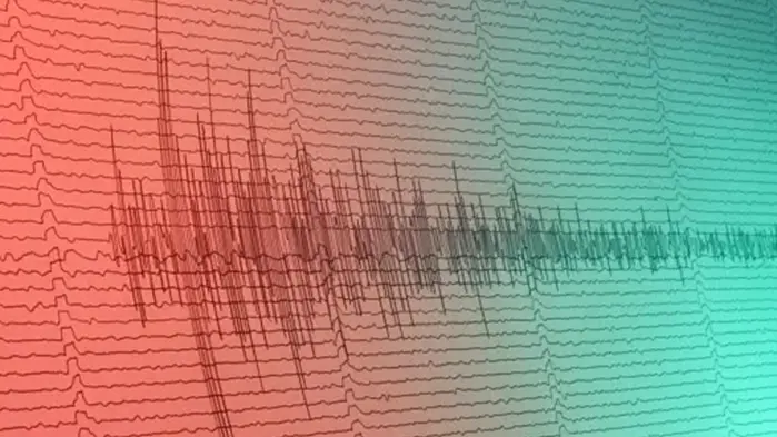 Thousands jolted by morning quake in Wellington