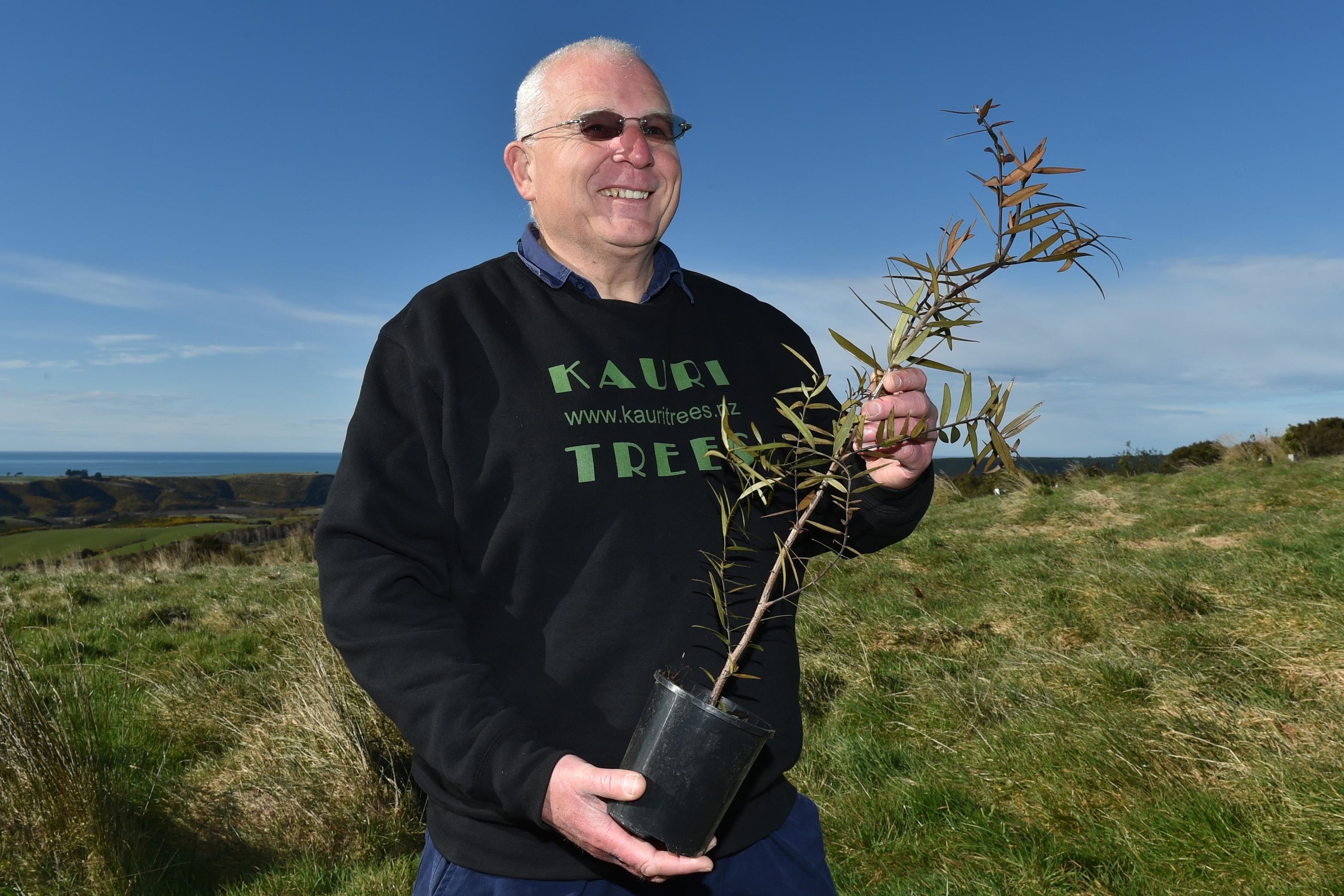 One man’s long-term tree planting is creating a kauri sanctuary in Southland