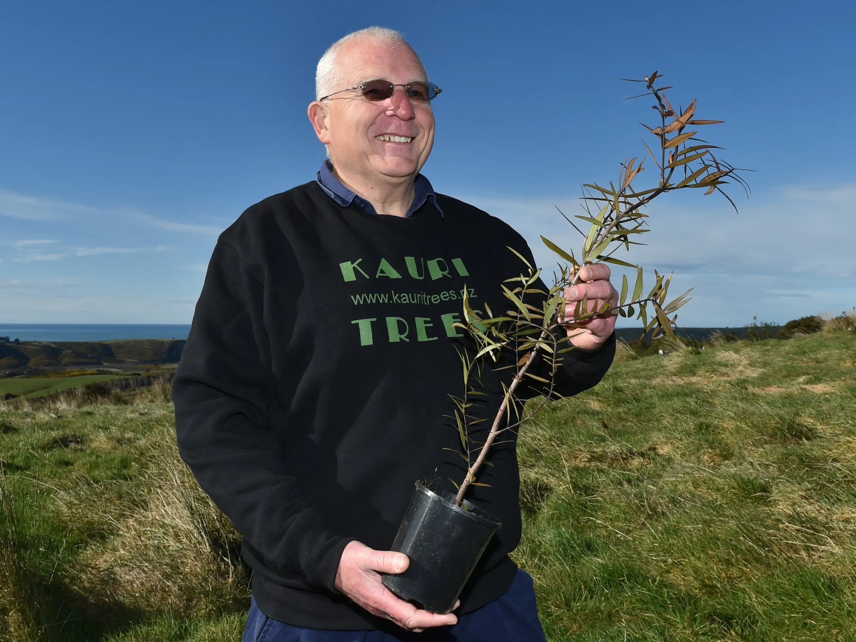 One man's quest to create a kauri sanctuary in the Deep South