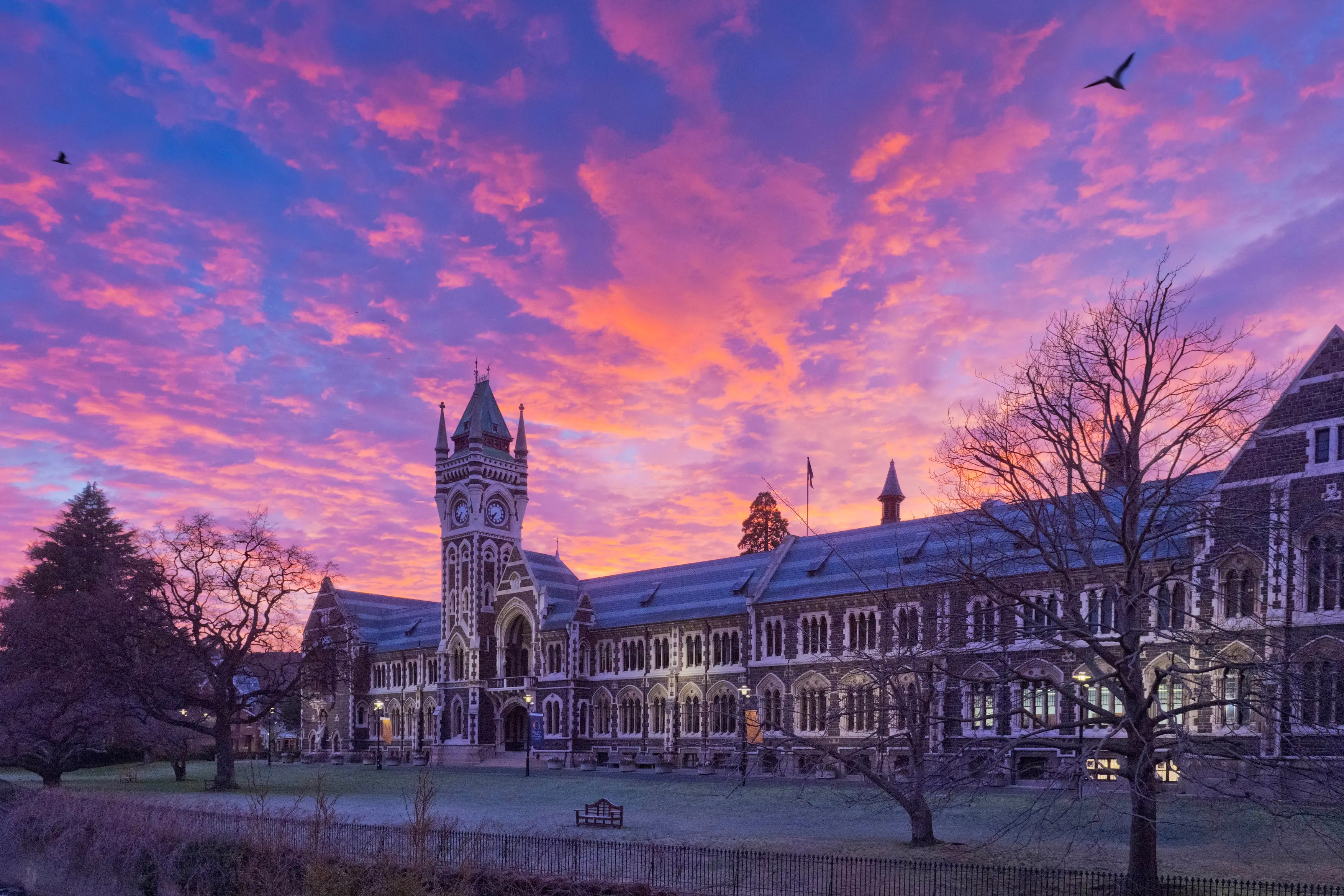 University of Otago tuition fees from Gulf Arab states more than doubles to $15.6 million