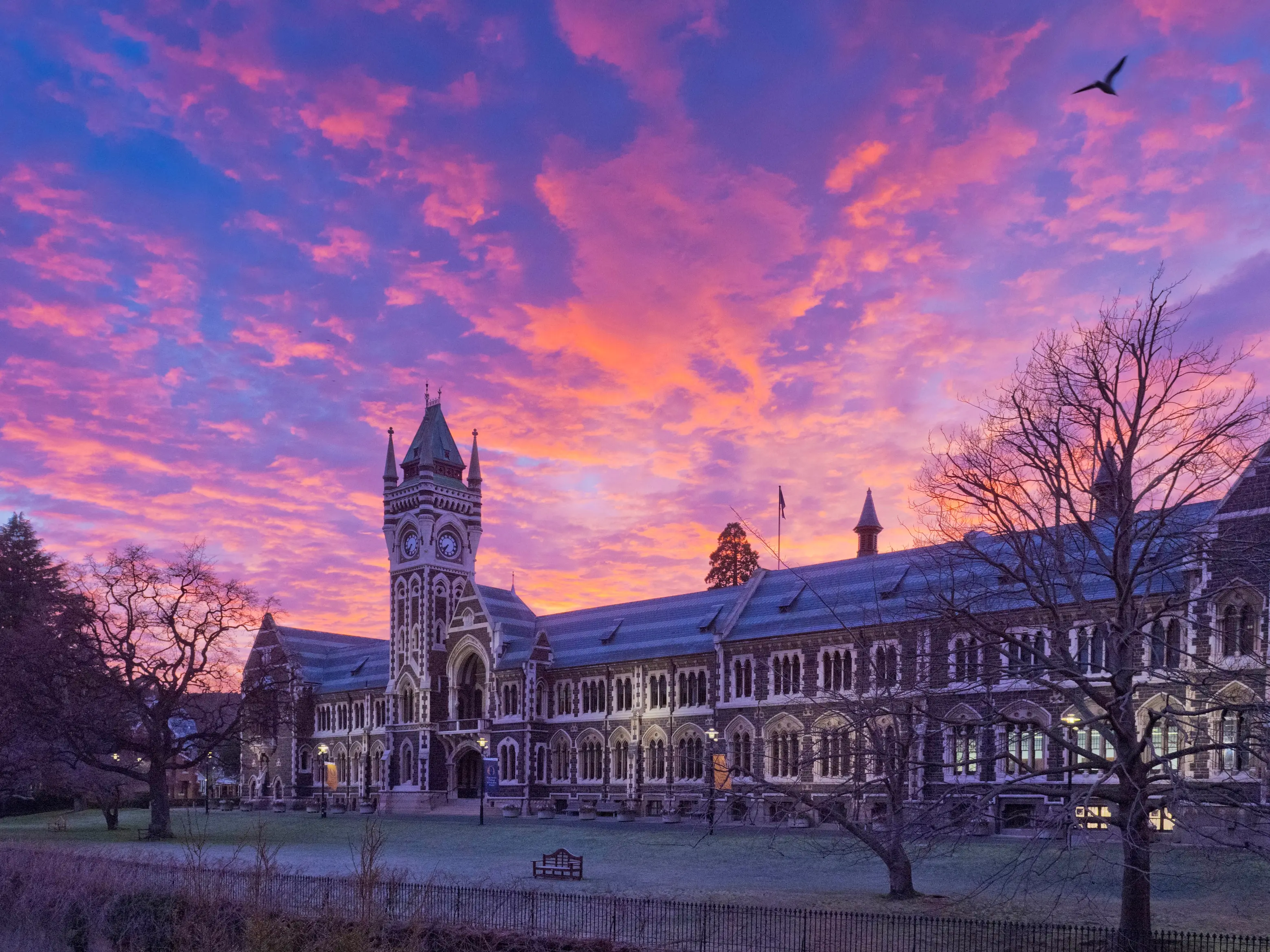 University of Otago tuition fees from Gulf Arab states more than doubles to $15.6 million