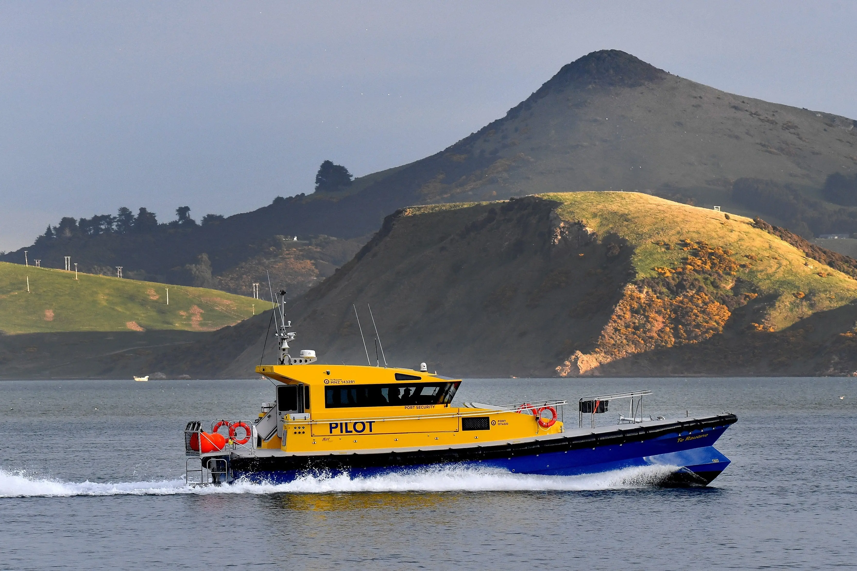 Port Otago pilot boat Te Rauone steams down Otago Harbour, past the Dunedin City Council-owned Hereweka/Harbour Cone on Otago Peninsula. Photo: ODT Files