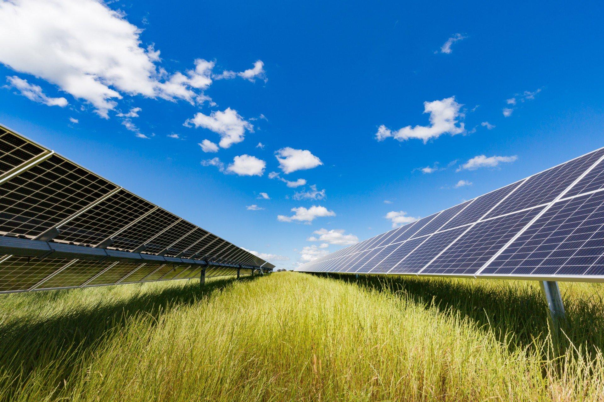 A large solar farm could bring renewable power to Scargill Valley