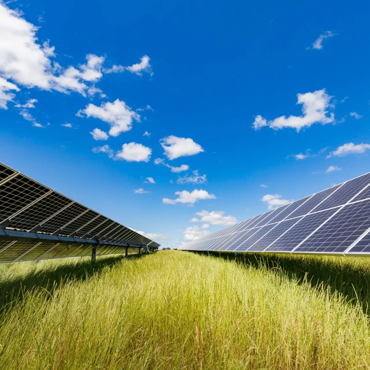 A large solar farm could be built in the Scargill Valley, in North Canterbury
