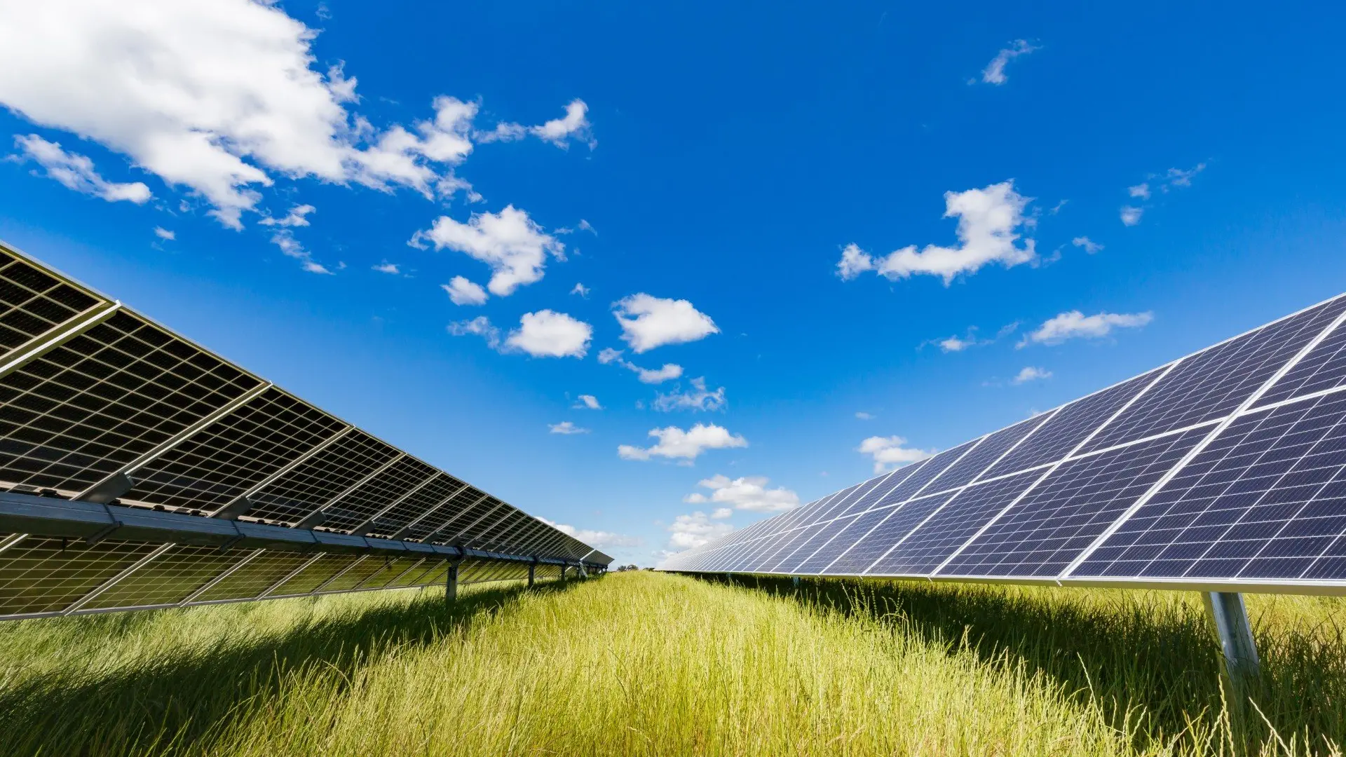 A large solar farm could be built in the Scargill Valley, in North Canterbury