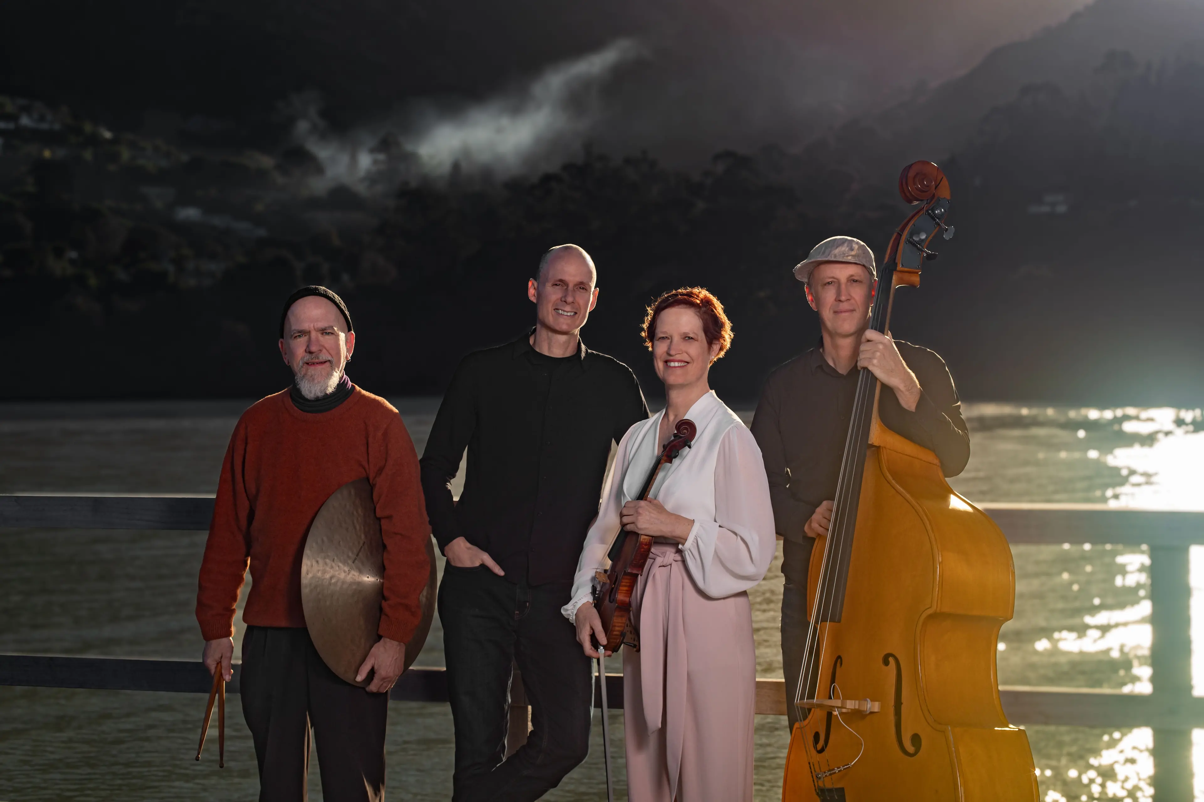 Douce Ambience: Doug Brush (drums), Dan Robertson (keyboard), Cathy Irons (violin) and Dougal Canard (bass). PHOTO: SUPPLIED