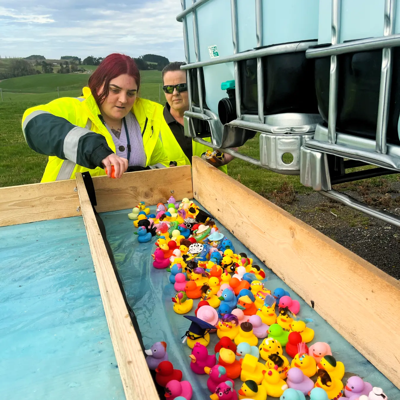 Dairy company finds ‘fun and colourful way’ to fundraise for cancer
