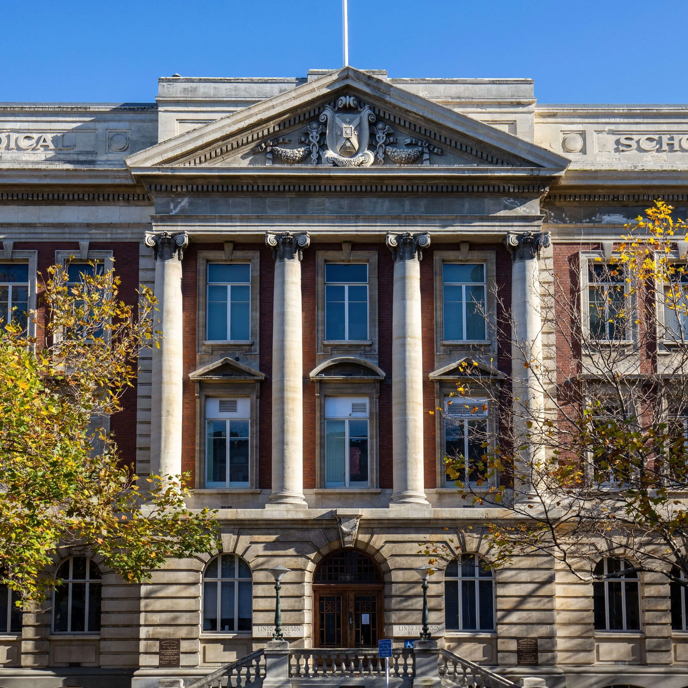 Call for pathways review to be released