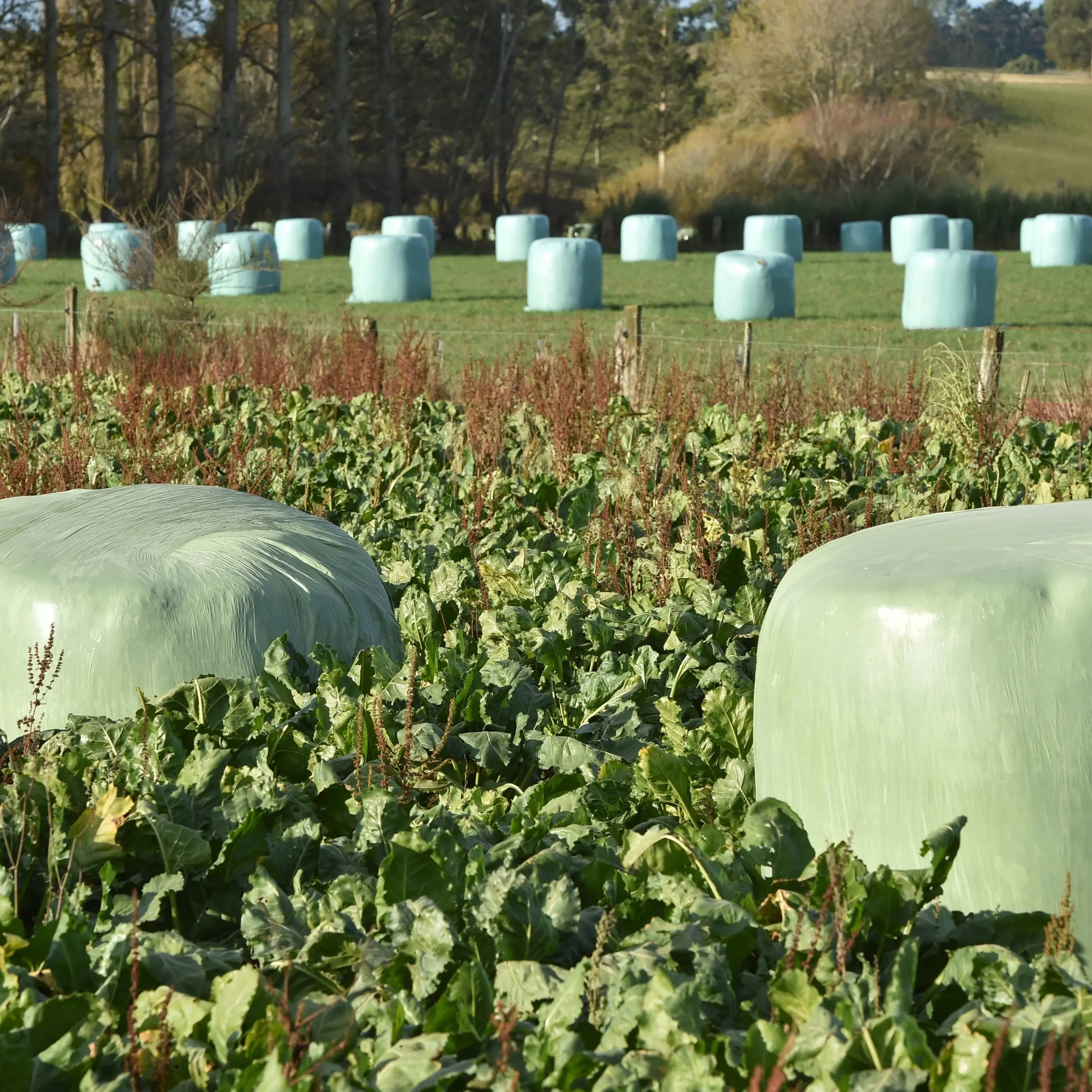 New nationwide rural recycling scheme for farm plastics