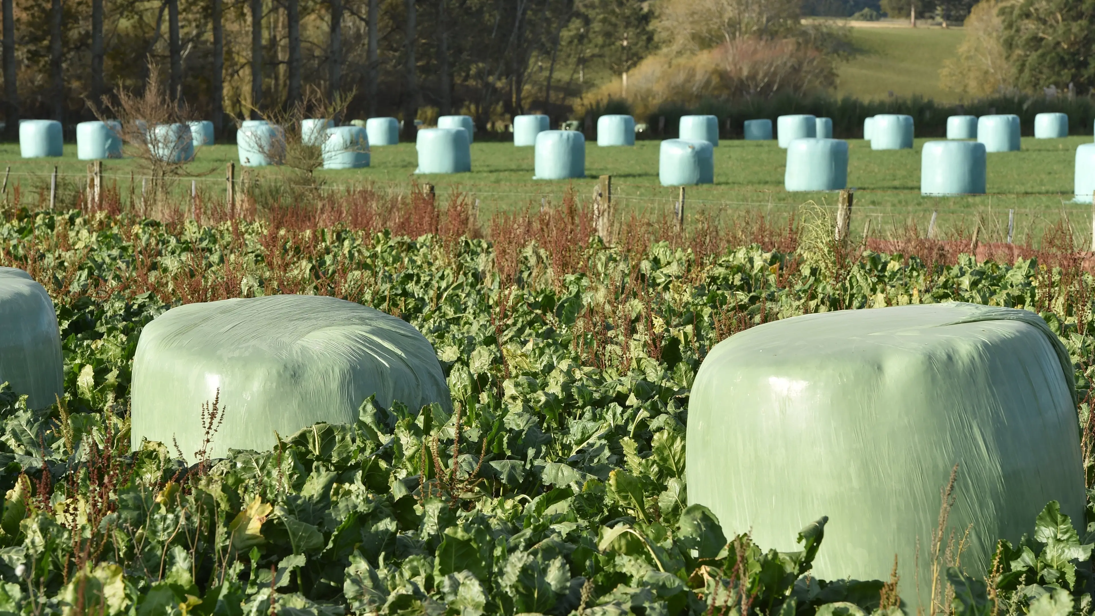 New nationwide rural recycling scheme for farm plastics