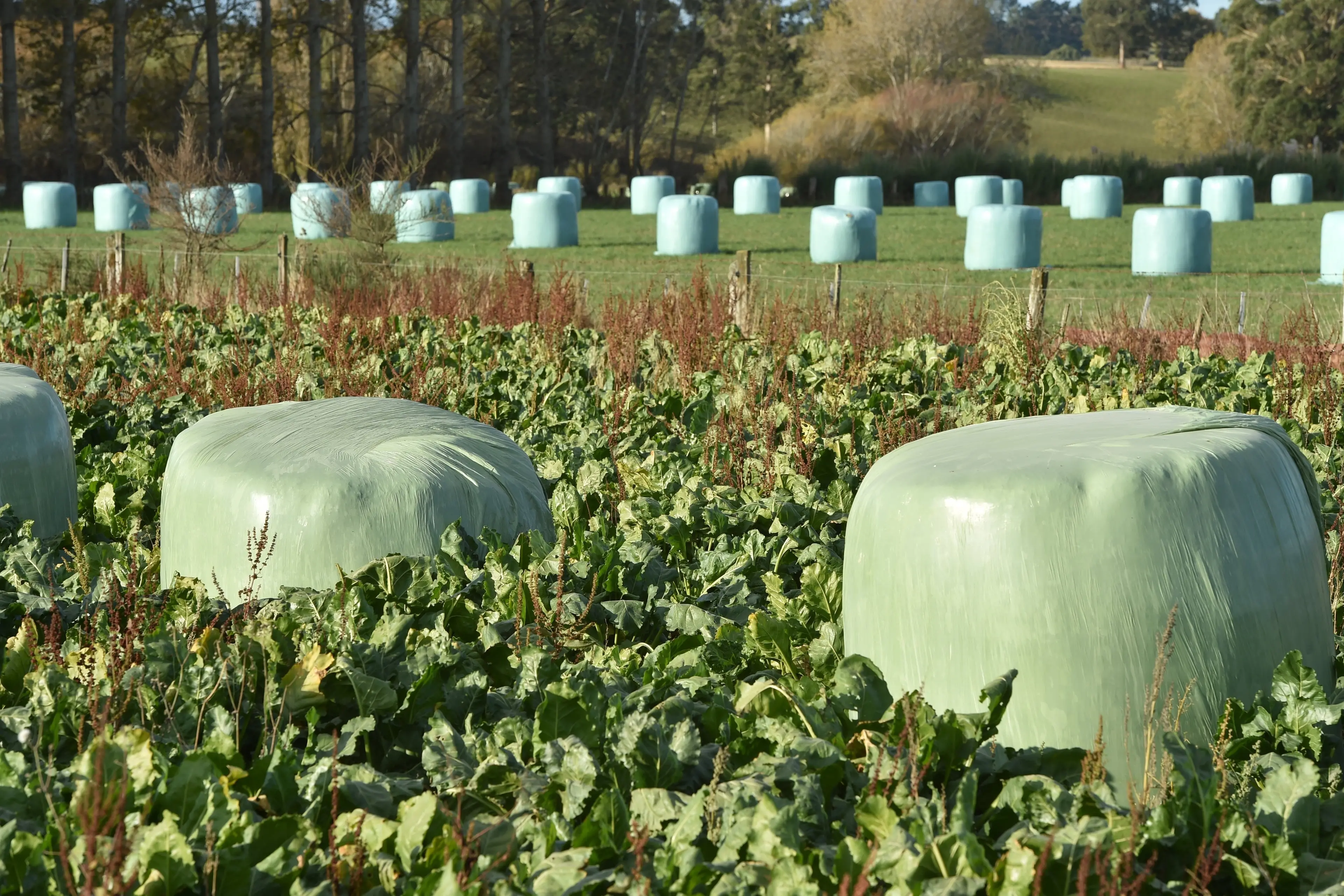 A new rural recycling scheme will recover farm plastics from autumn next year. Photo: Gregor Richardson