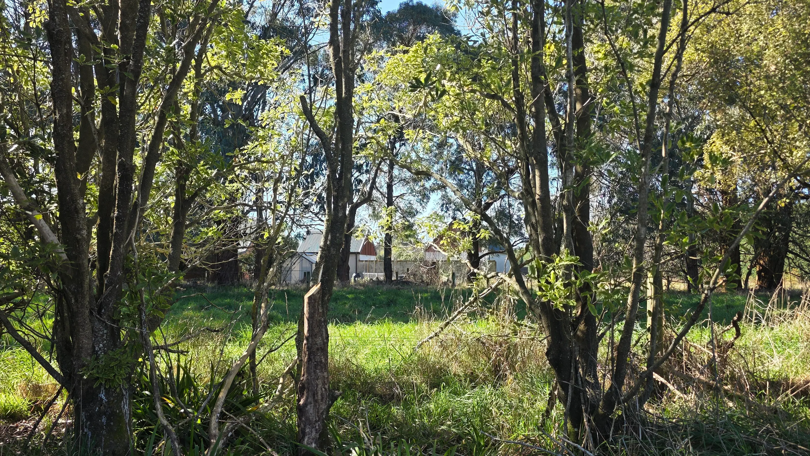 Wolfbrook pushes ahead with plan to build new homes next to domain