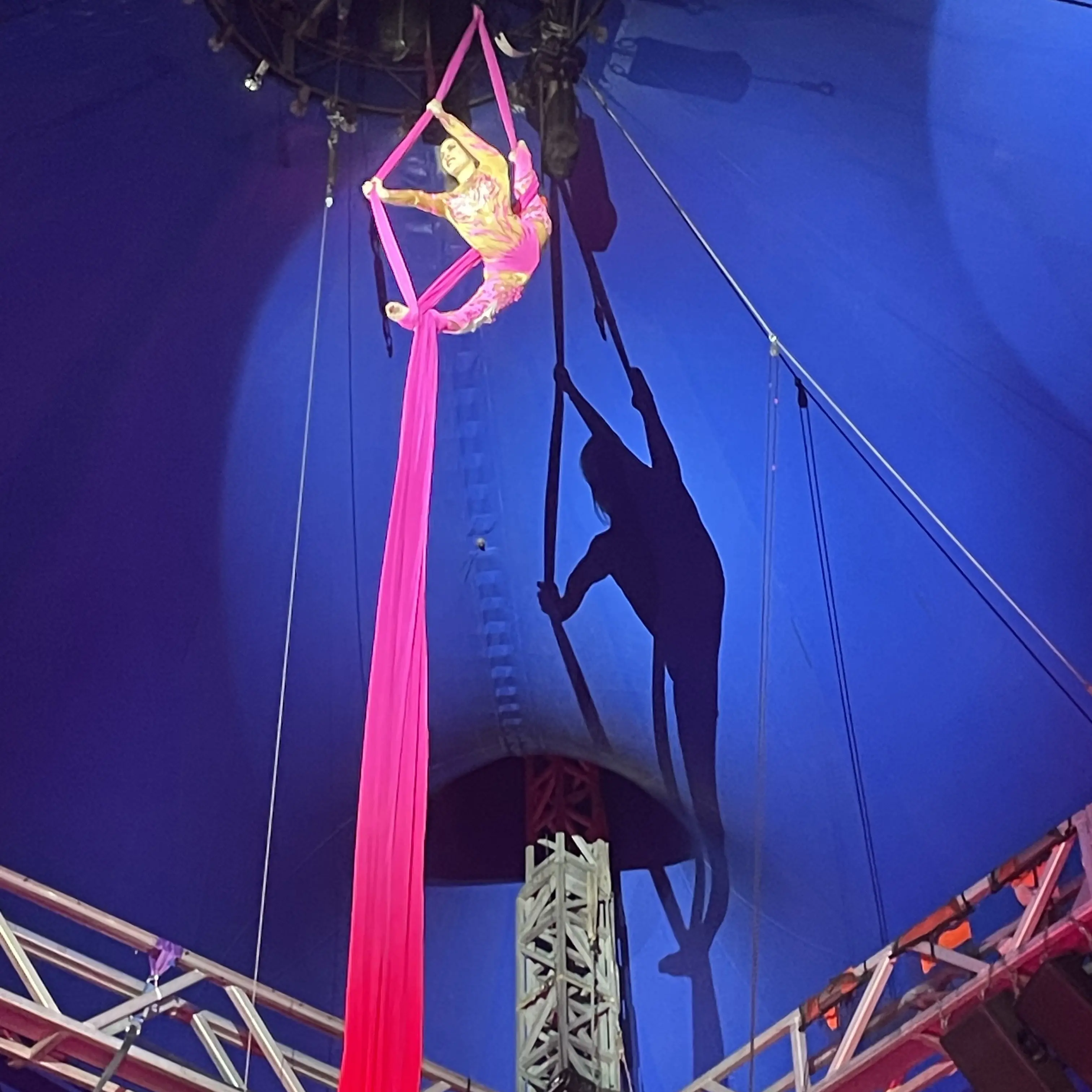 Roll up, roll up the circus is in town