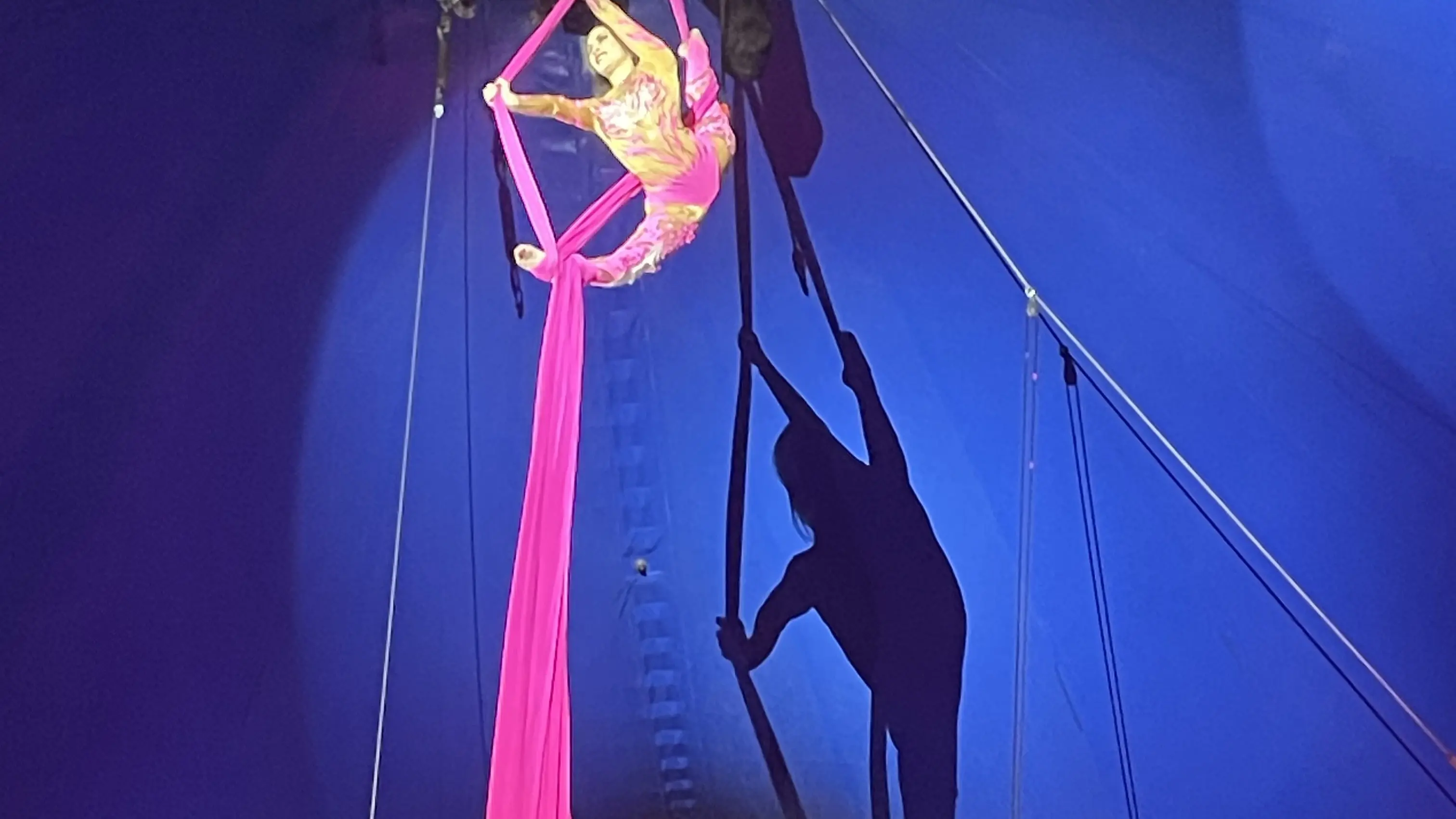Roll up, roll up the circus is in town