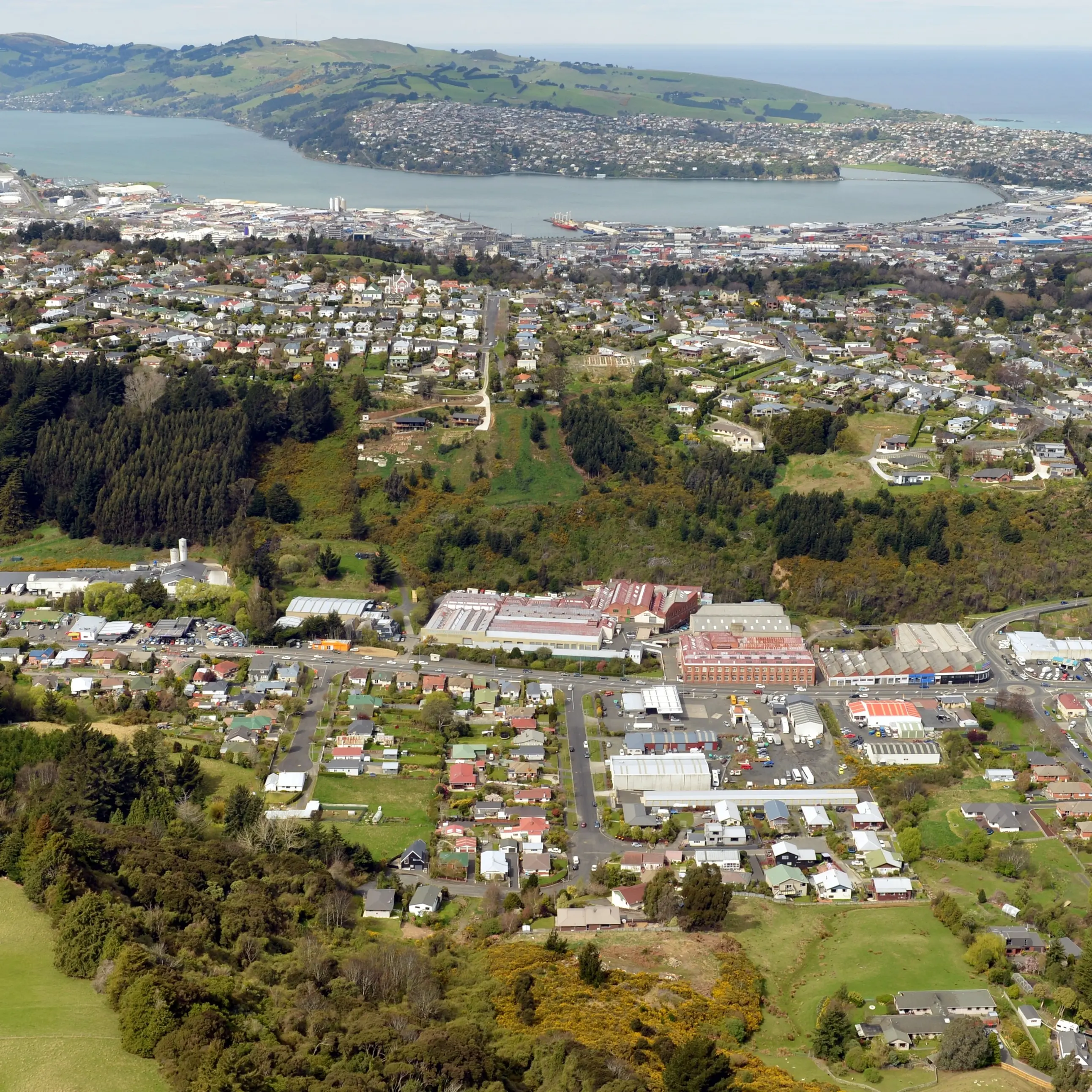 Dunedin rental market bucking regional trend