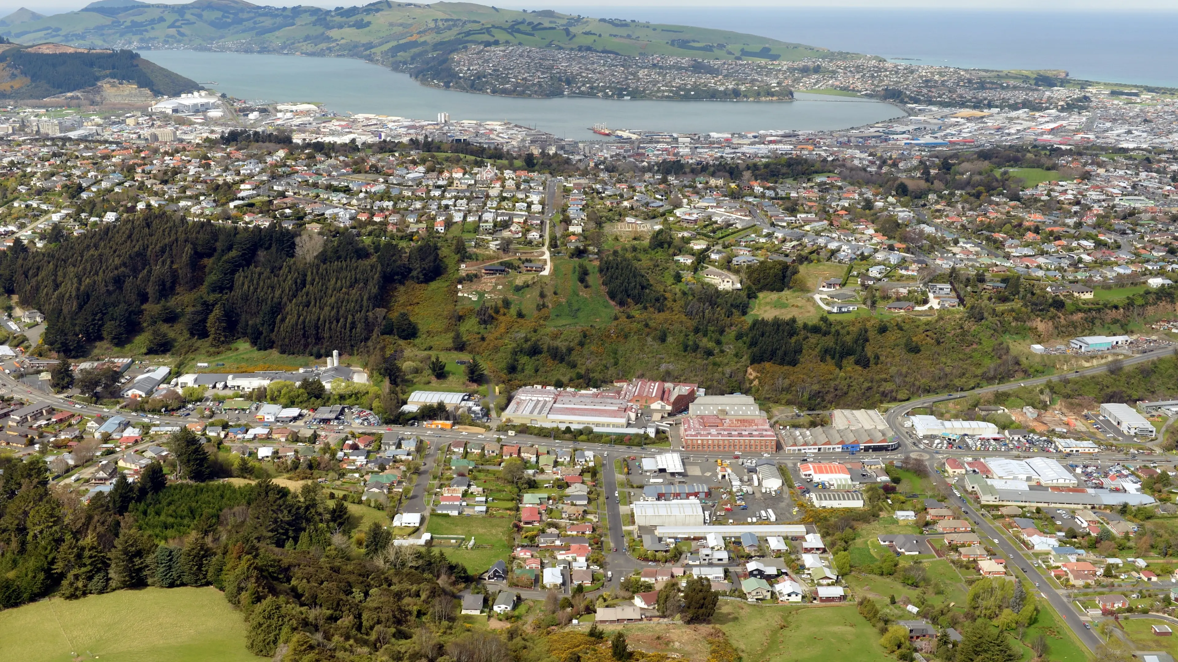 Dunedin rental market bucking regional trend