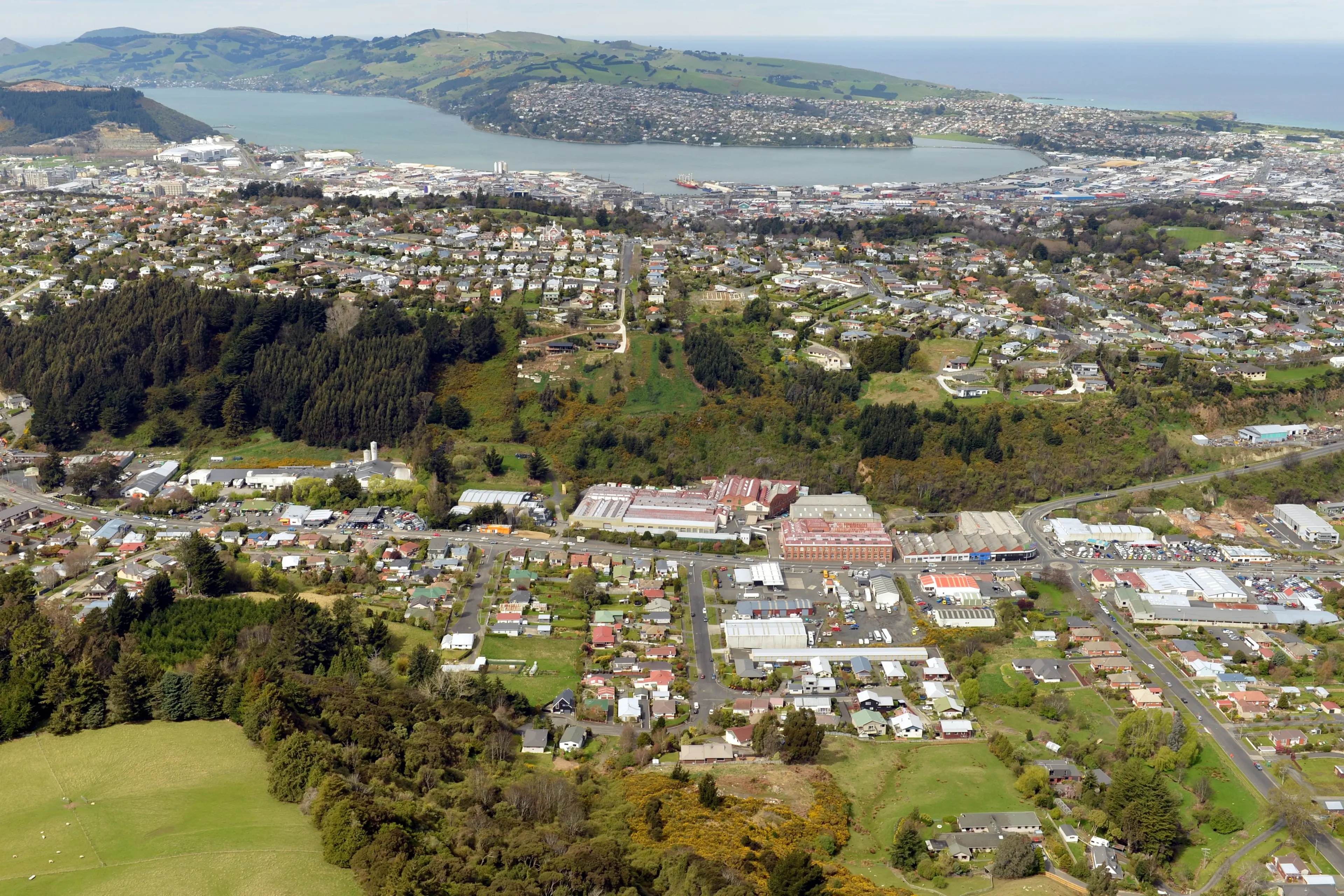 Dunedin\\'s rental property market appears to be bucking the trend when it comes to the wider Otago market. Photo: Stephen Jaquiery
