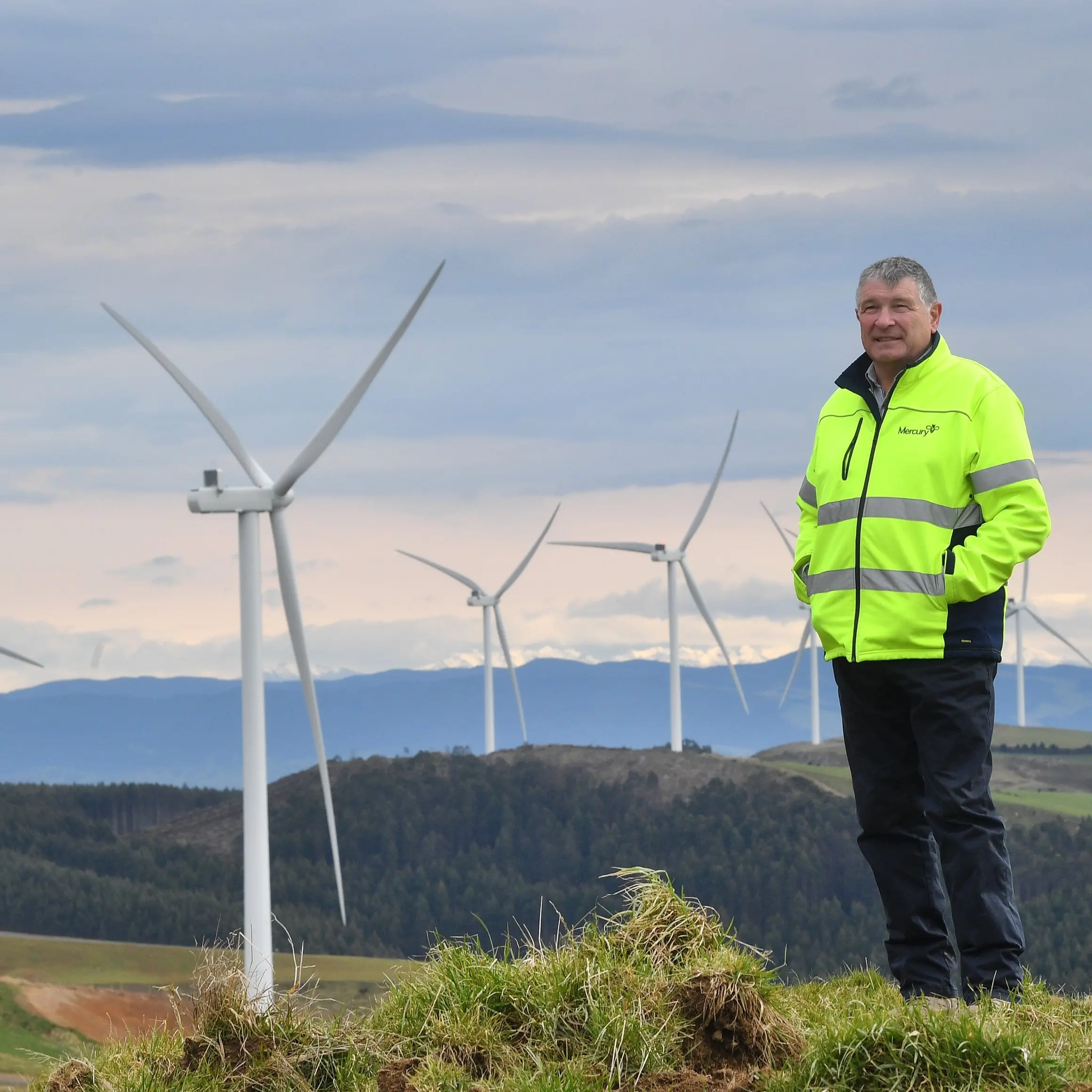 Largest wind farm in South Island ready to power up