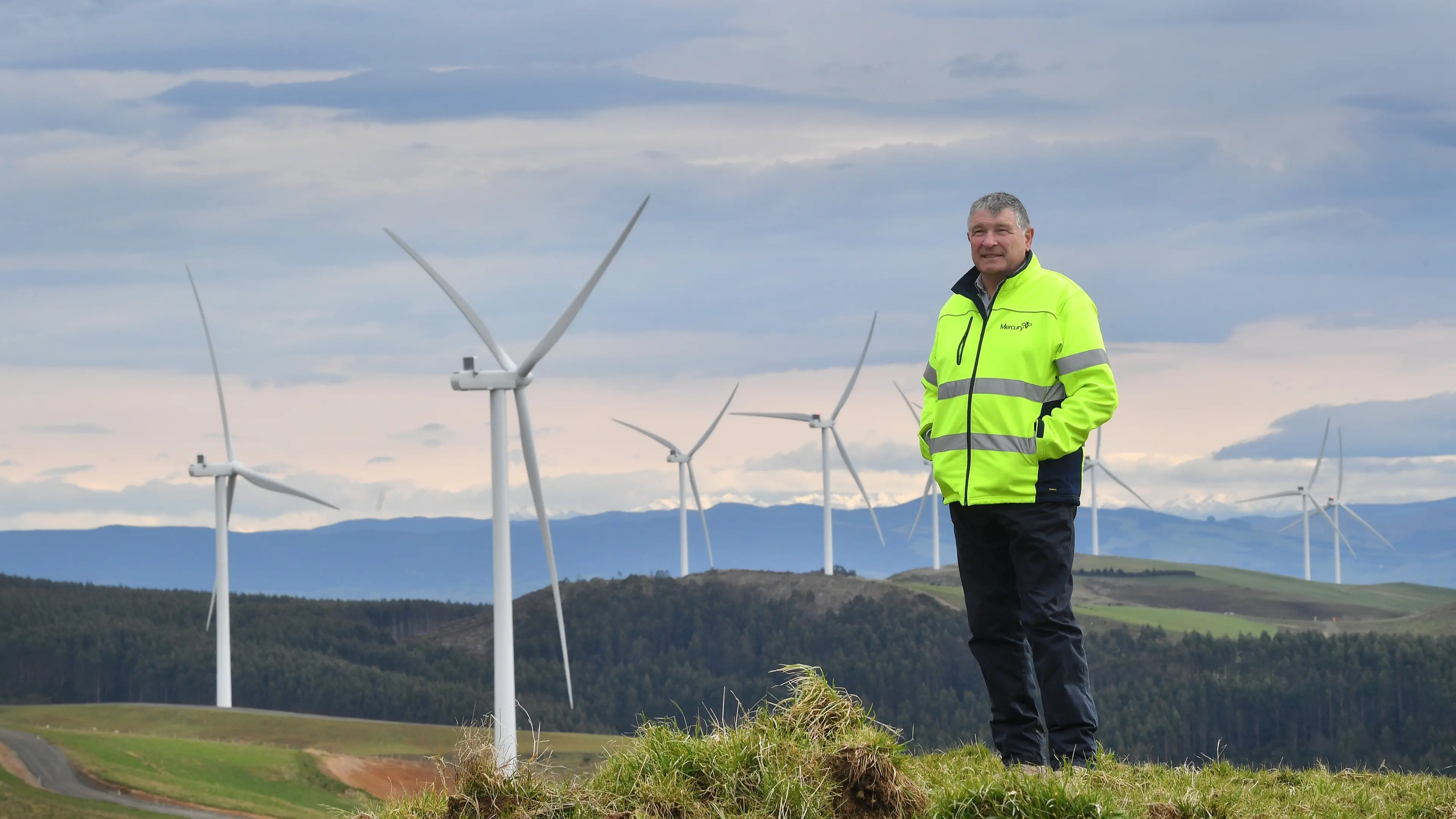 Largest wind farm in South Island ready to power up