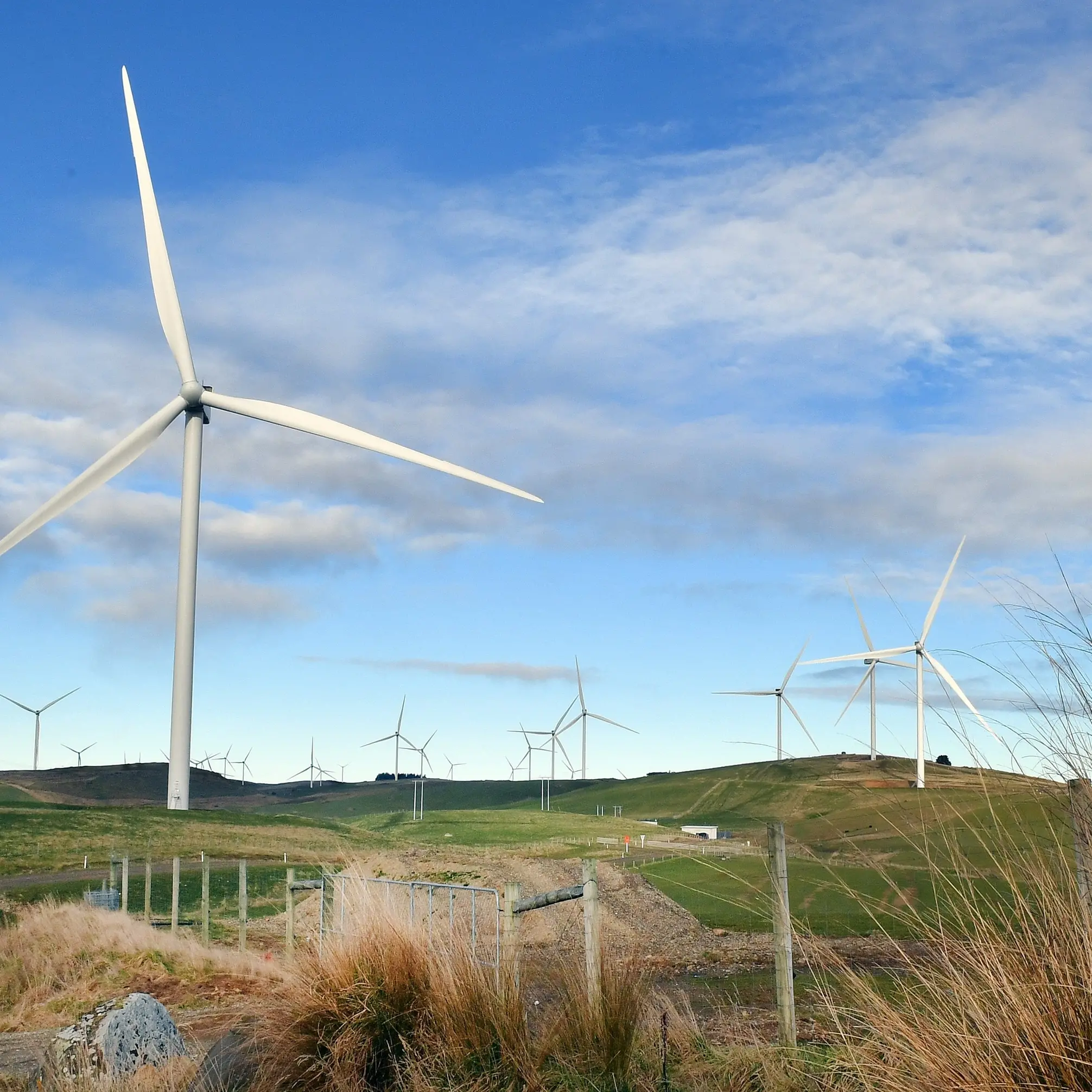 $600m wind farm officially opens
