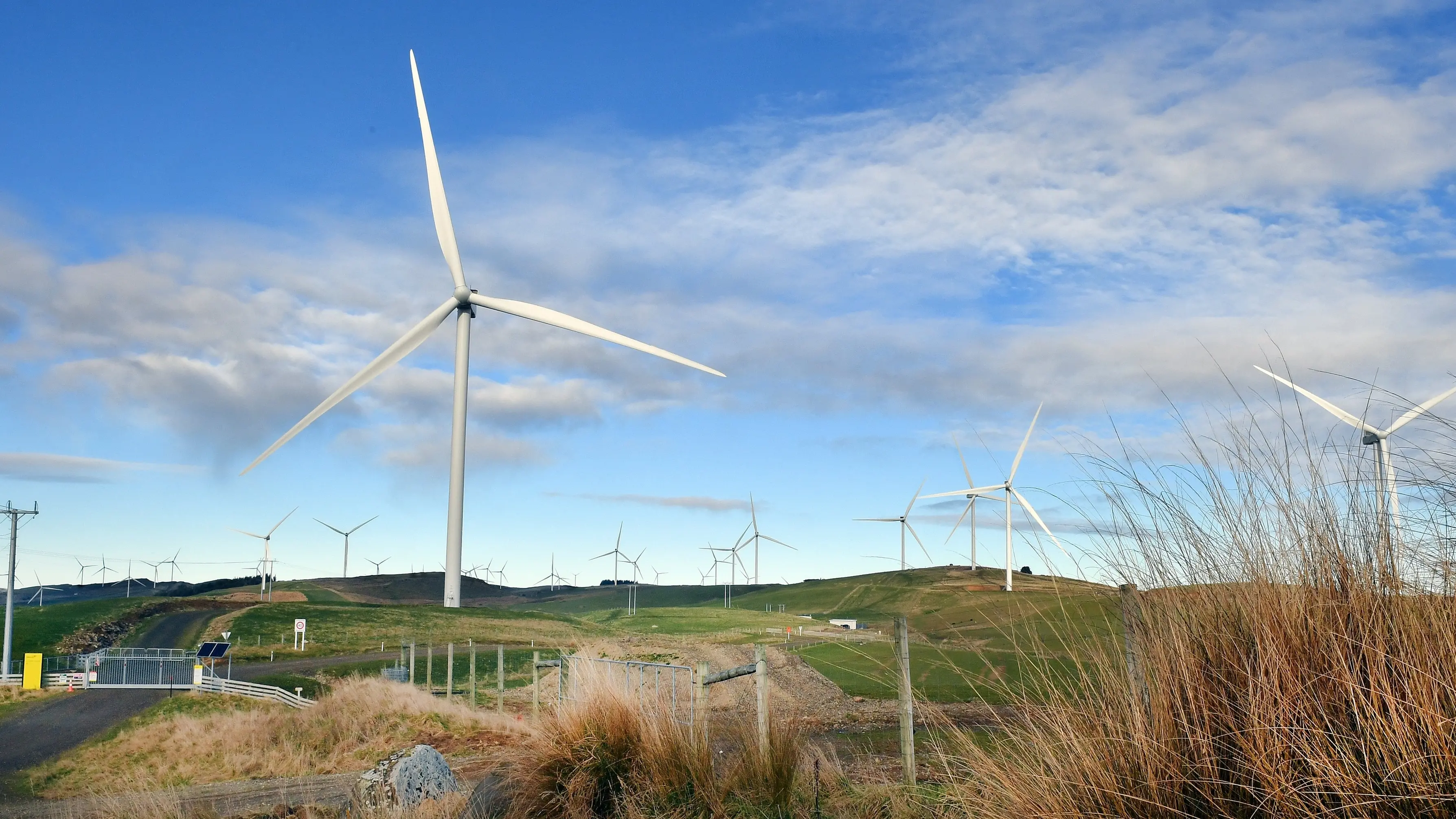 $600m wind farm officially opens