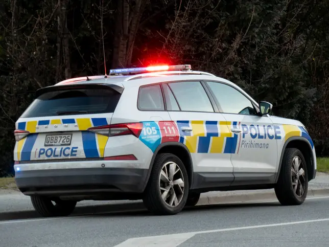 Critical injuries reported from crash on Dunedin-Waitati Highway