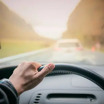 Driver licensing system claims investigated