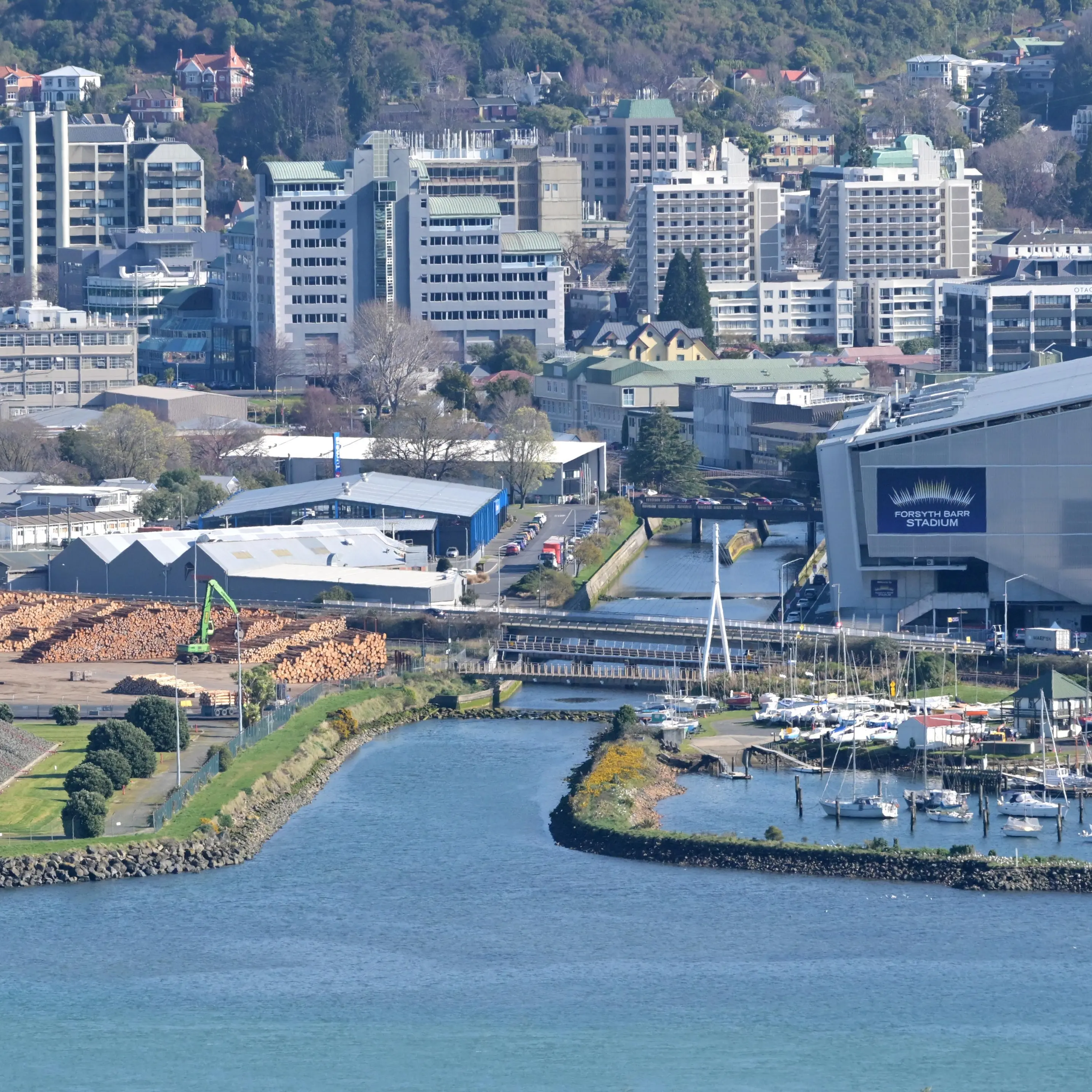 Storms wash pollution into Otago Harbour: young scientists