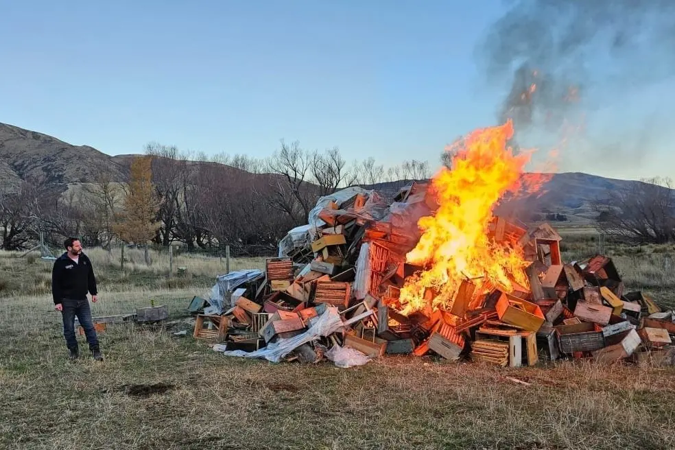 Honey producer Stephen Brown watches boxes of honey burn. Photo: Facebook / Stephen Brown via RNZ