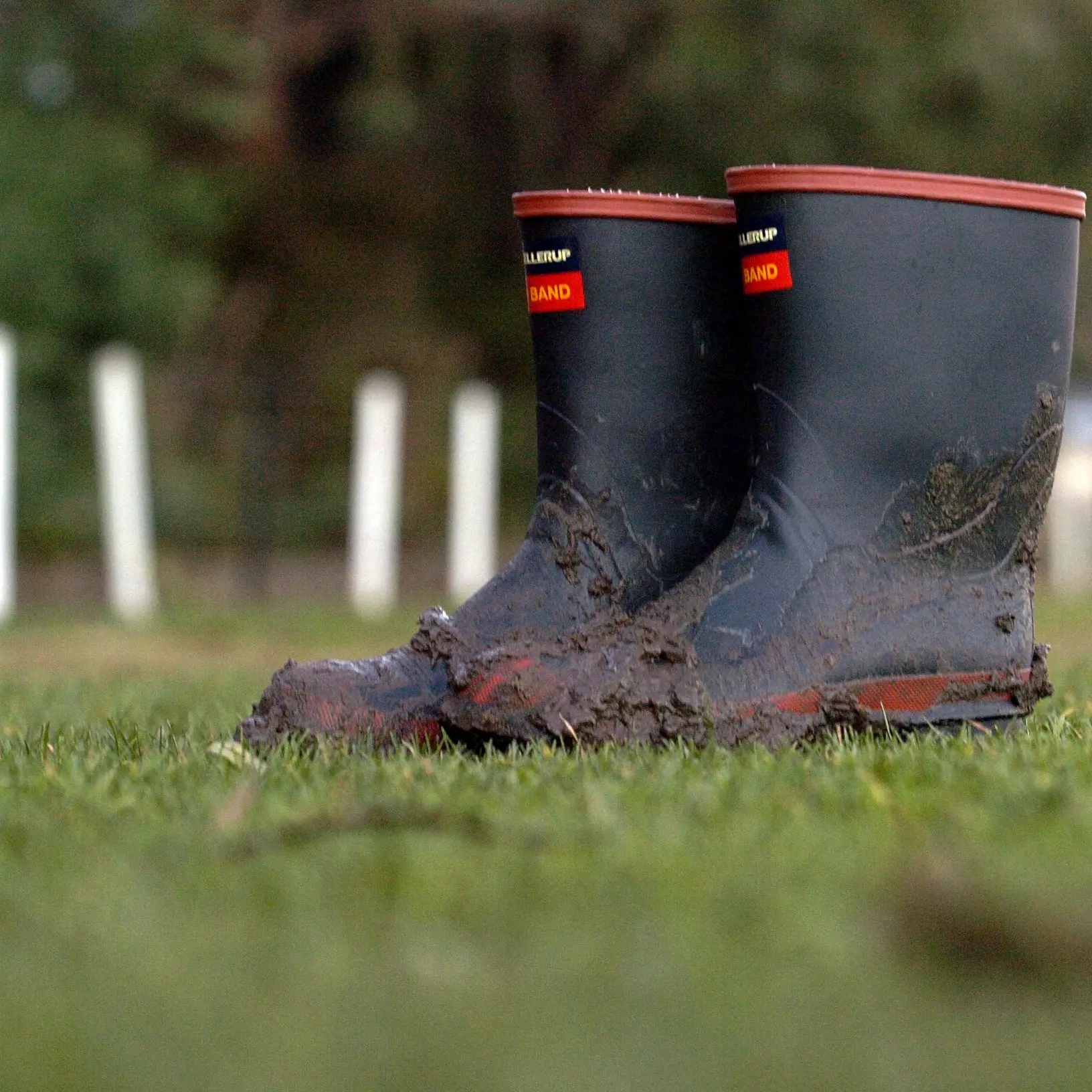 Too wet to forget