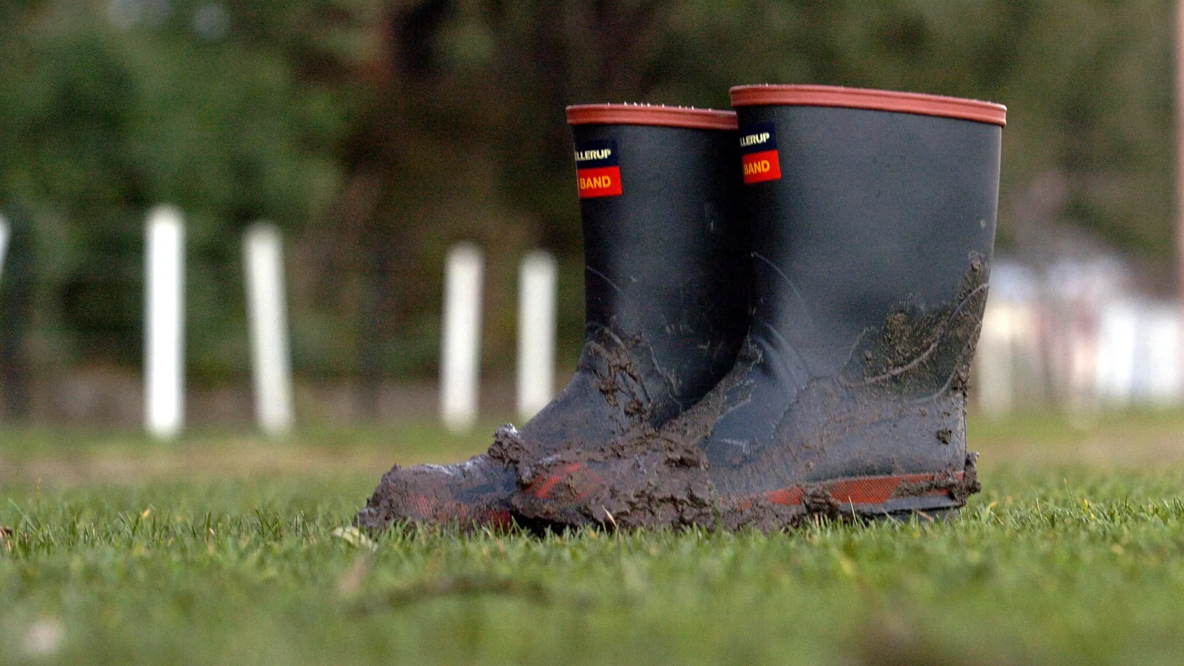 Too wet to forget