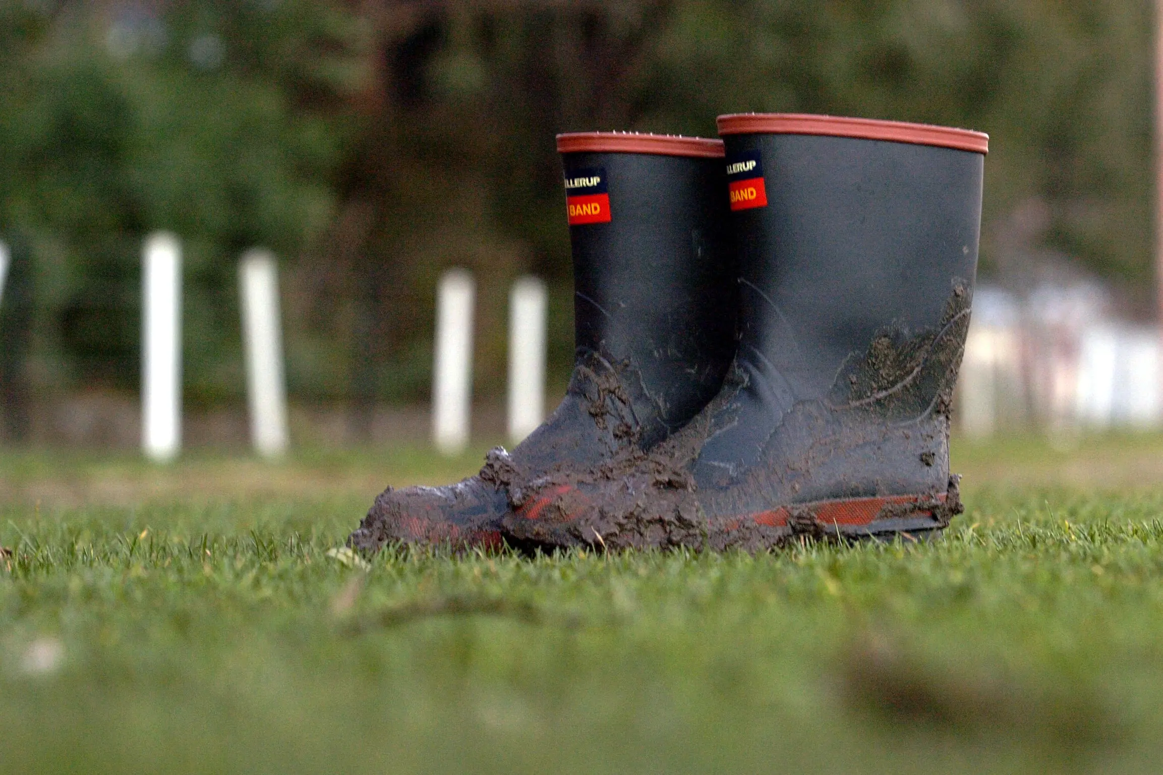 Gumboots - an essential clothing item during Southland\\'s soggy spring
