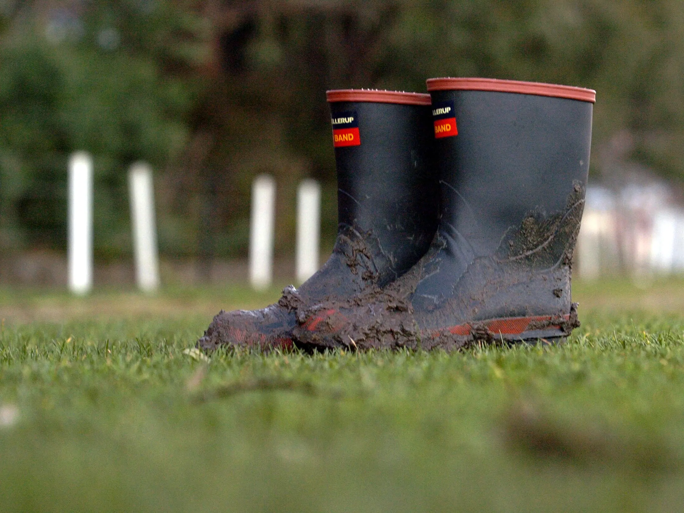 Too wet to forget