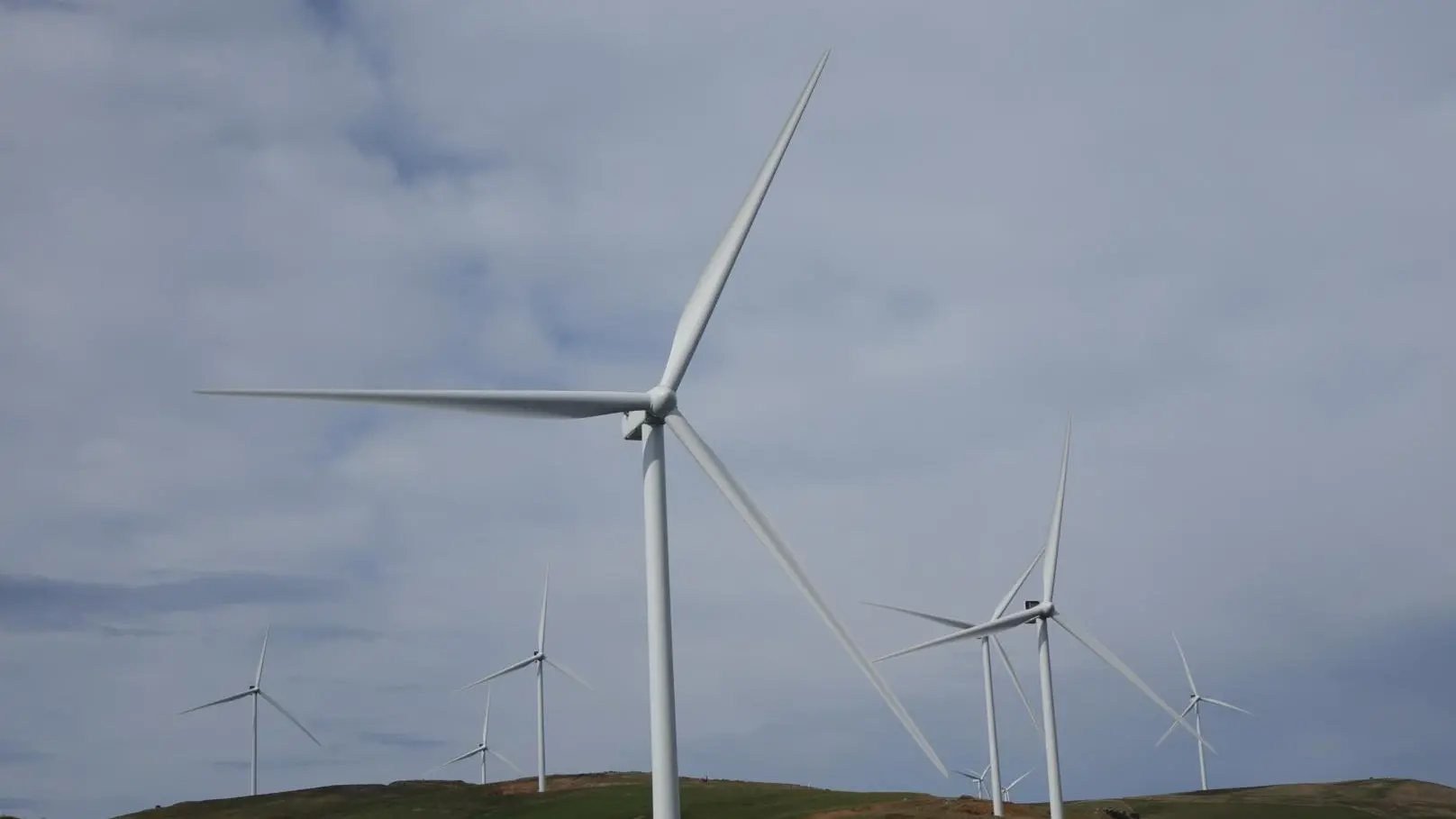 New wind turbines will help lower power bills — Mercury boss