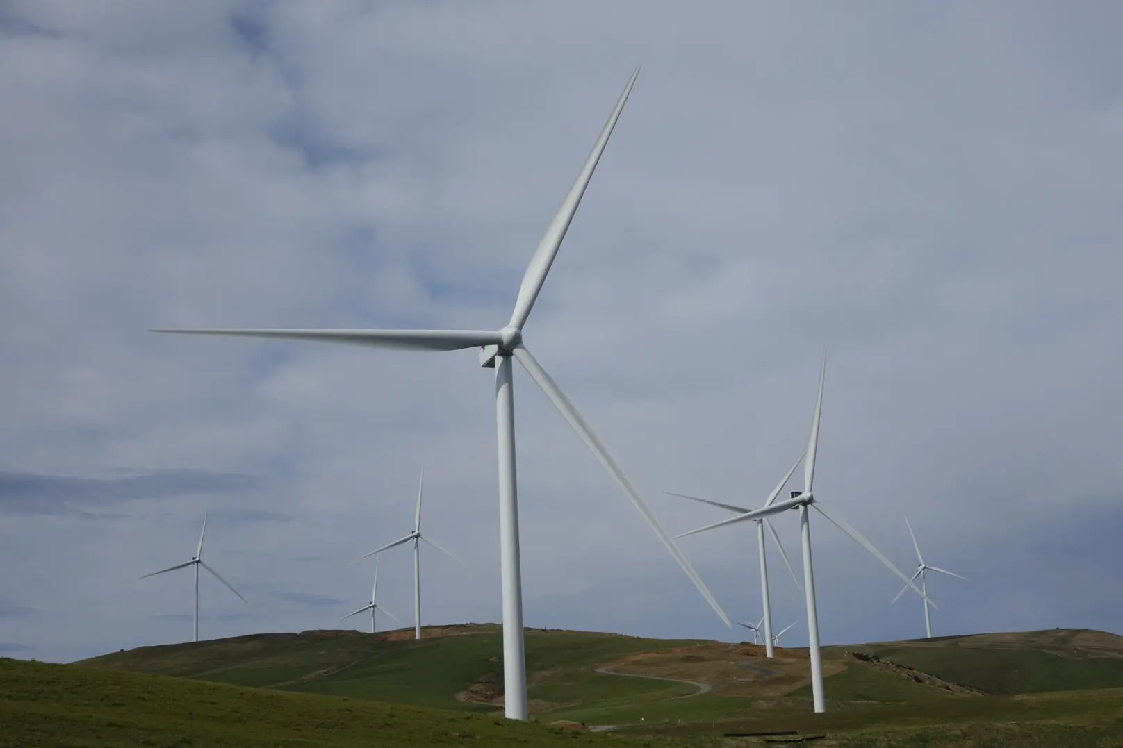 The Kaiwera Downs Wind Farm. Photo: RNZ / Tess Brunton