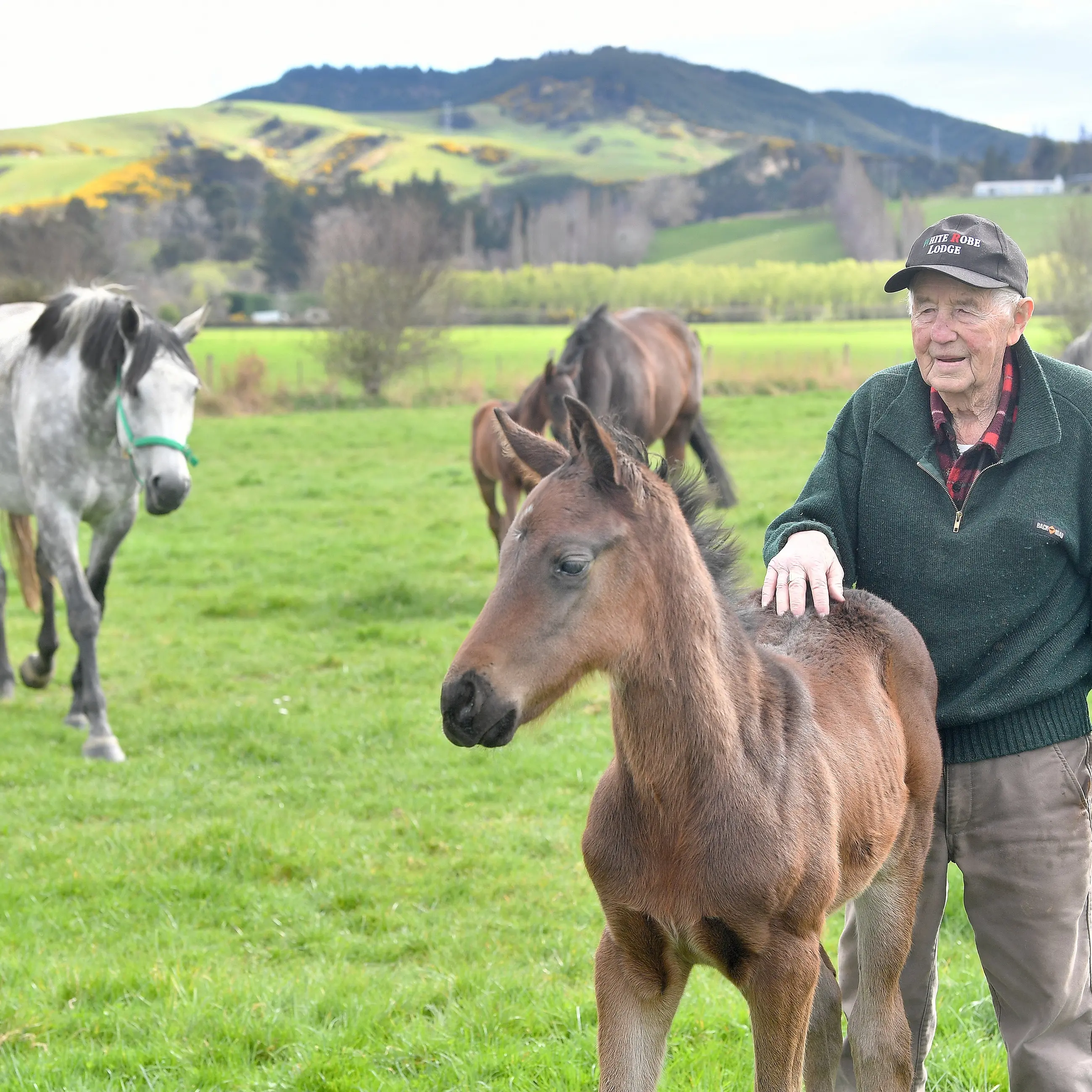 Family at the heart of 70-year-old thoroughbred operation White Robe Lodge
