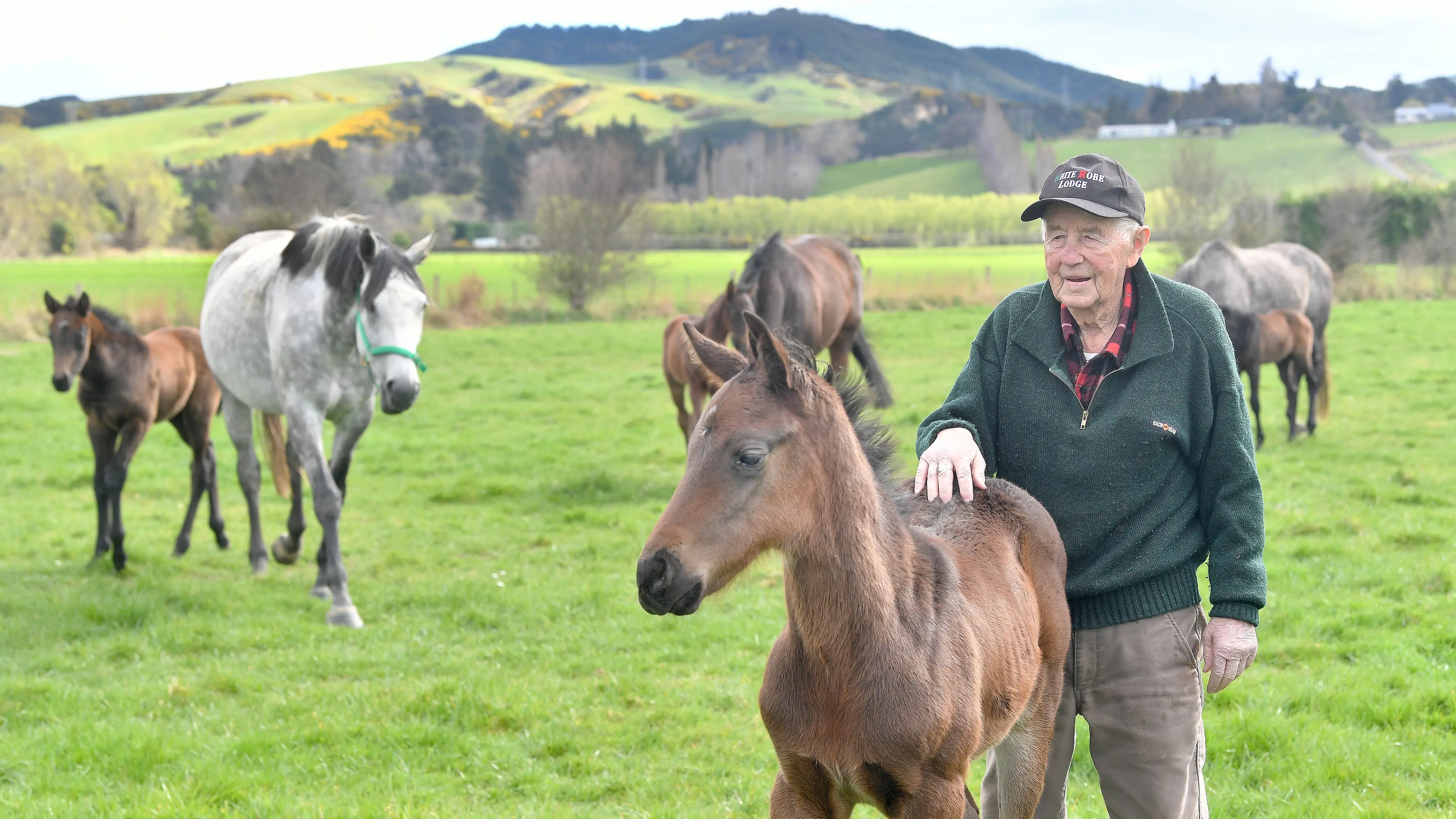 Family at the heart of 70-year-old thoroughbred operation White Robe Lodge