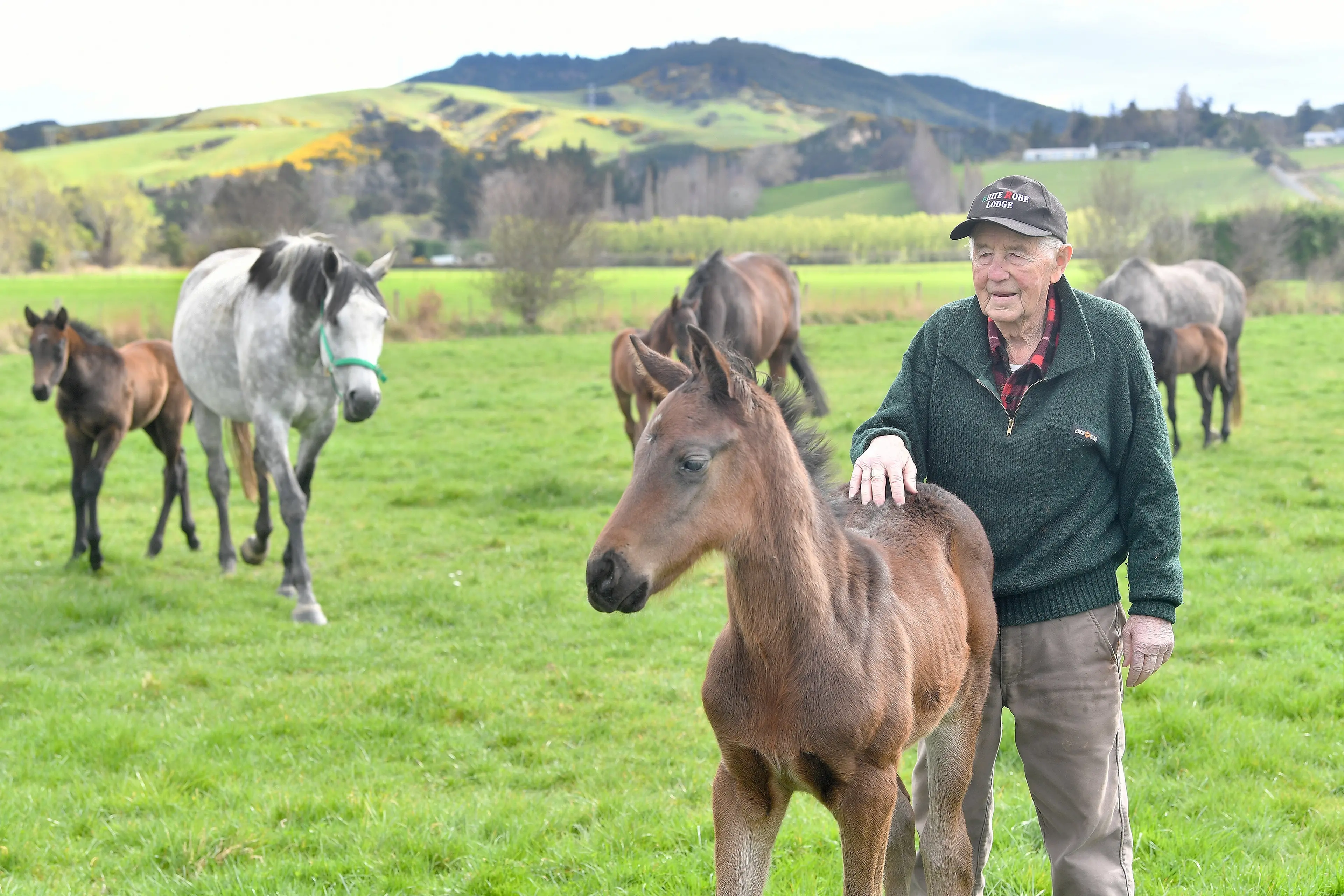 Family at the heart of 70-year-old thoroughbred operation White Robe Lodge