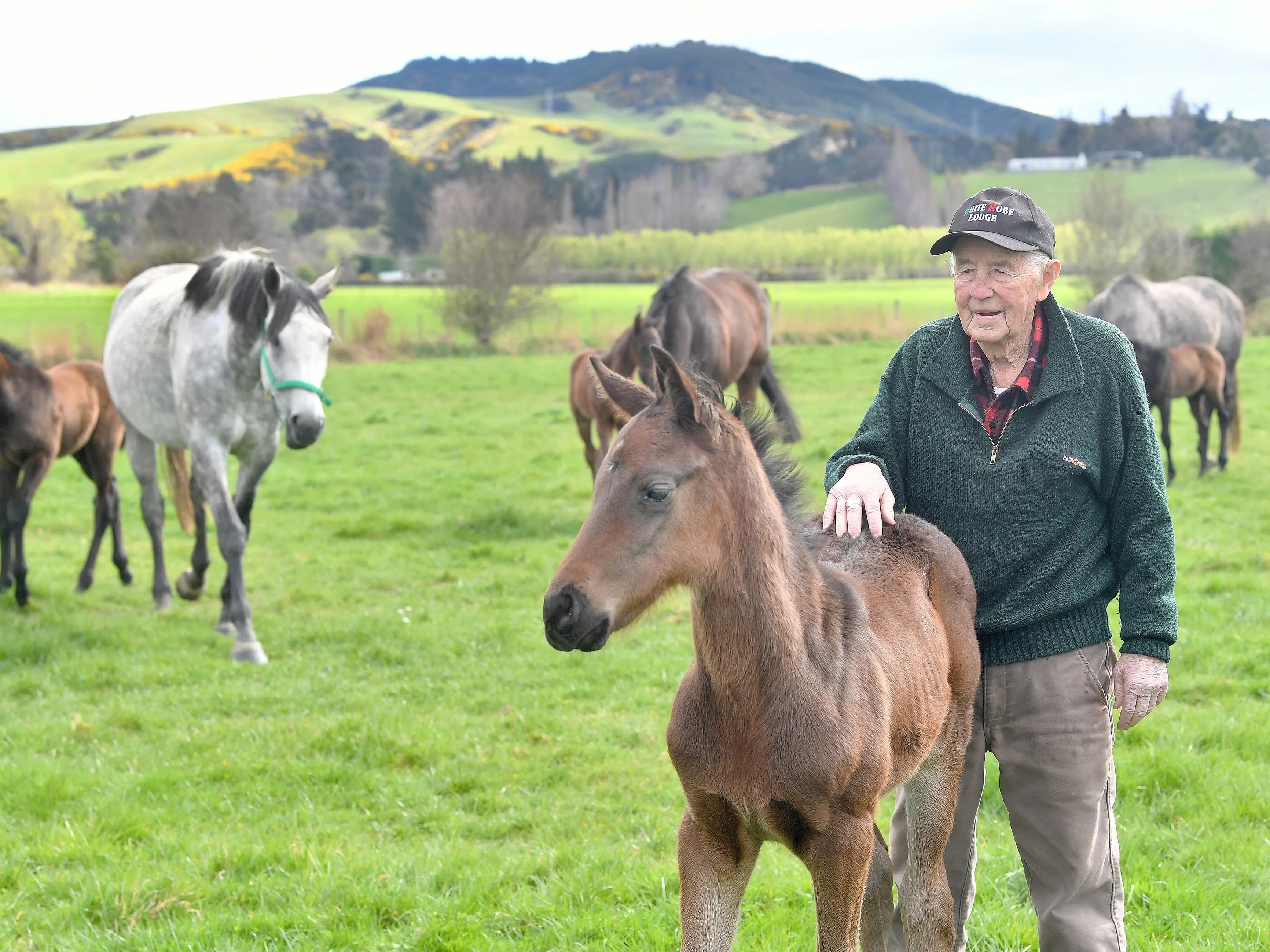 Family at the heart of 70-year-old thoroughbred operation White Robe Lodge
